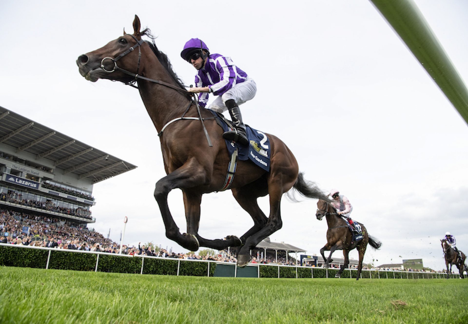 Kew Gardens (Galileo) winning the G1 St Leger at Doncaster