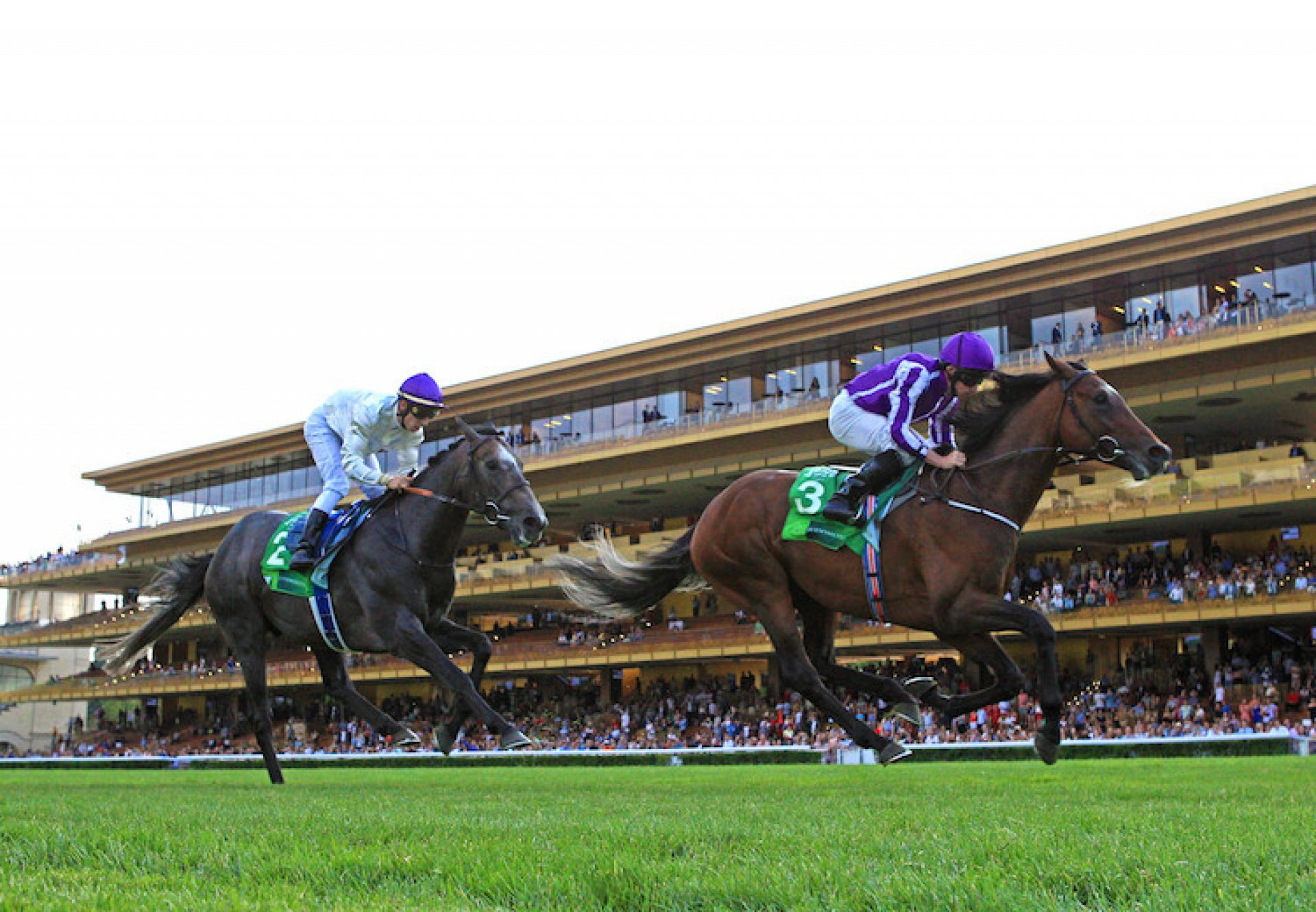 Kew Gardens (Galileo) winning the G1 Grand Prix de Paris at Longchamp