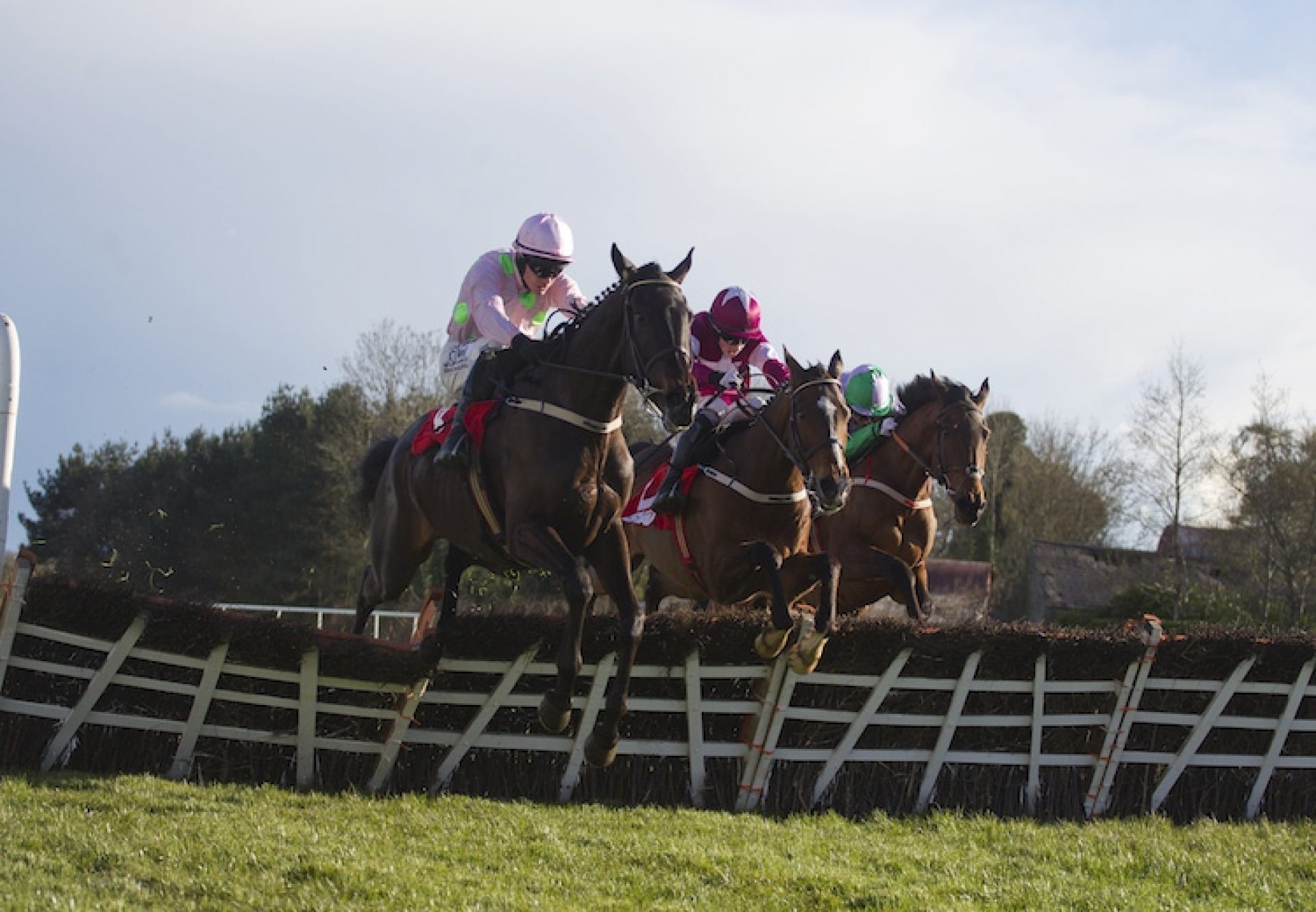 Koshari (Walk In The Park) winning a novices hurdle at Punchestown