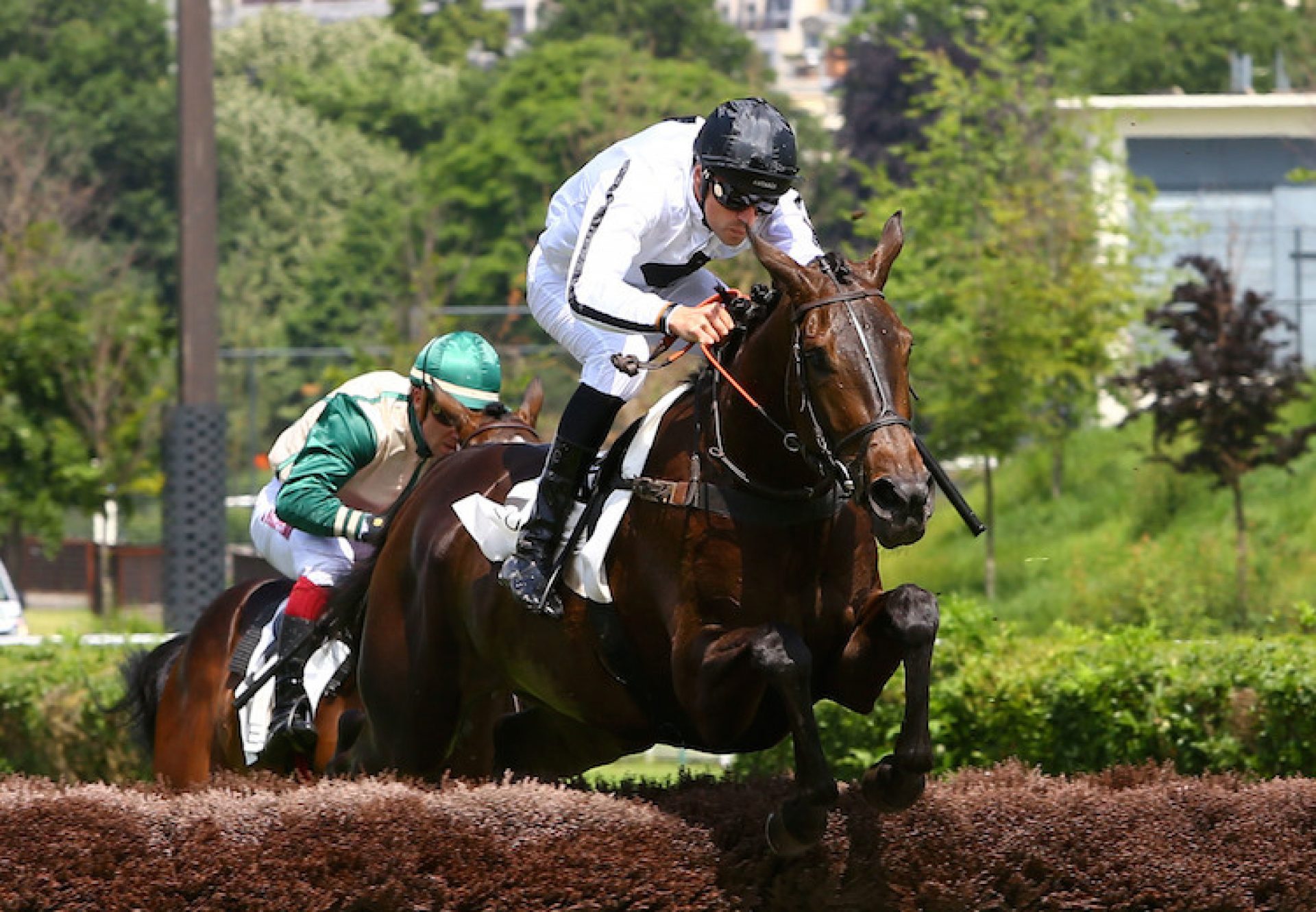 Lady Ardilaun (Soldier Of Fortune) winning the Prix Bois Rouaud at Auteuil