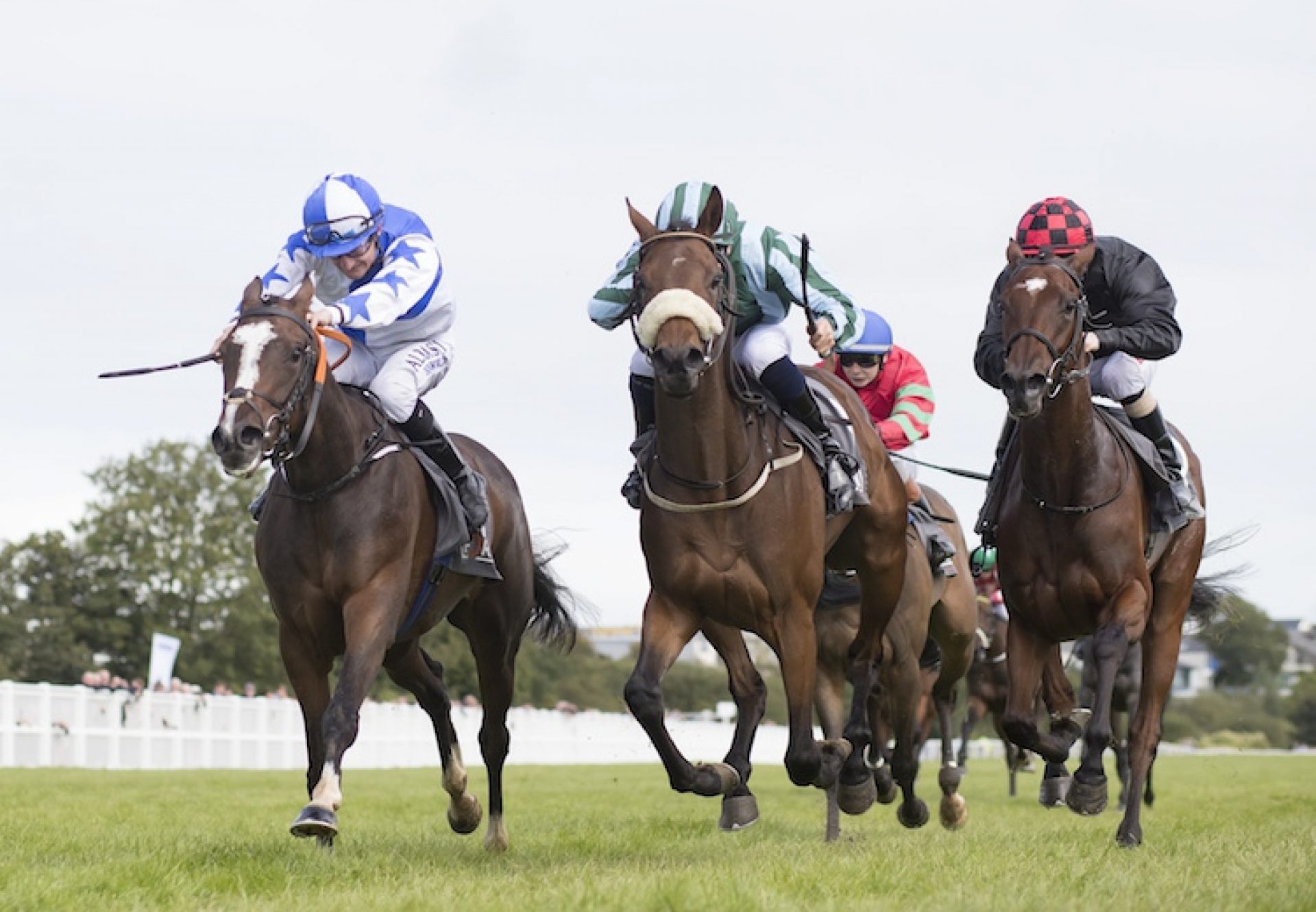 Lady Camelot (Camelot) winning at Listowel