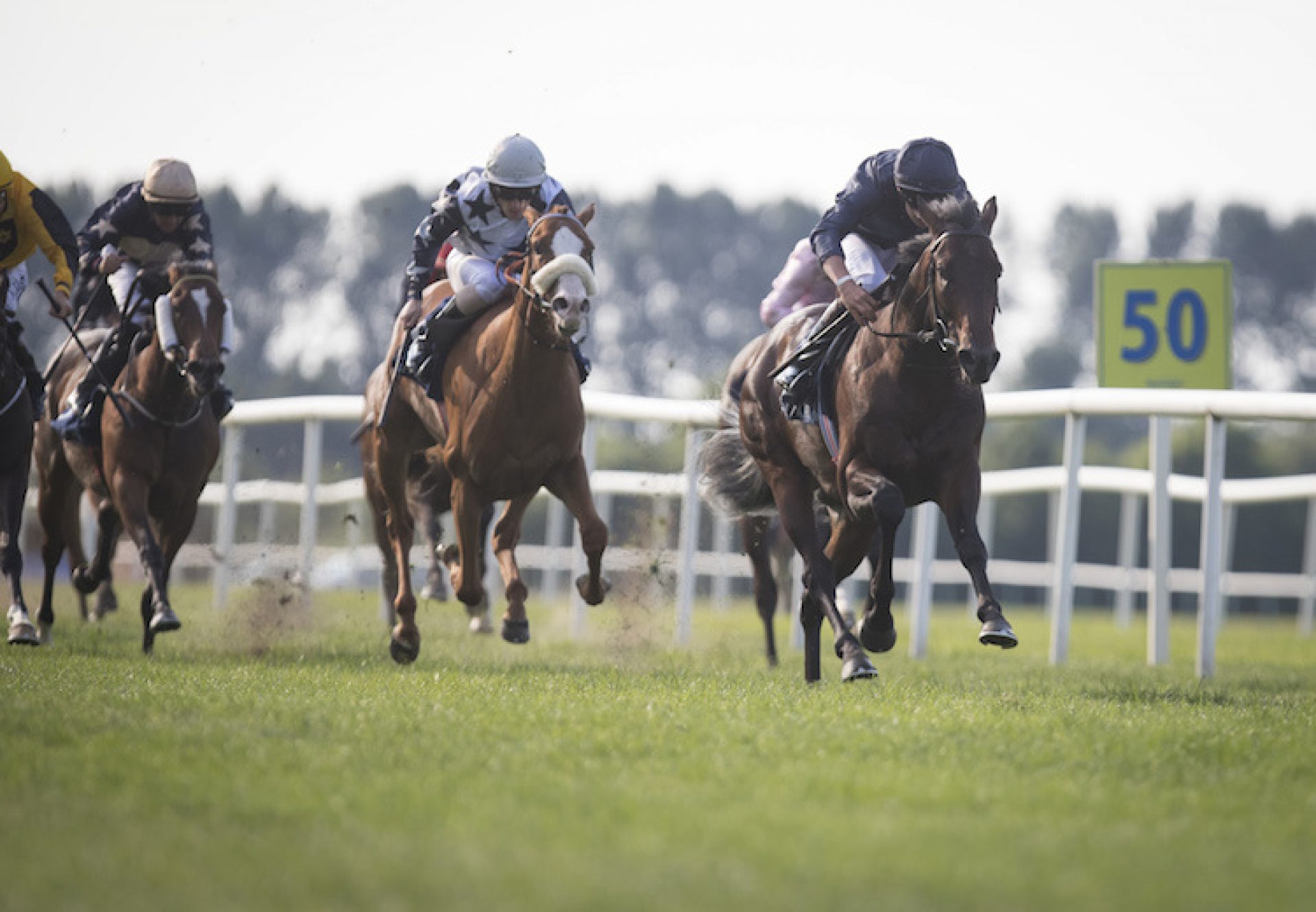 Land Force (No Nay Never) winning the Listed Tipperary Stakes at Tipperary