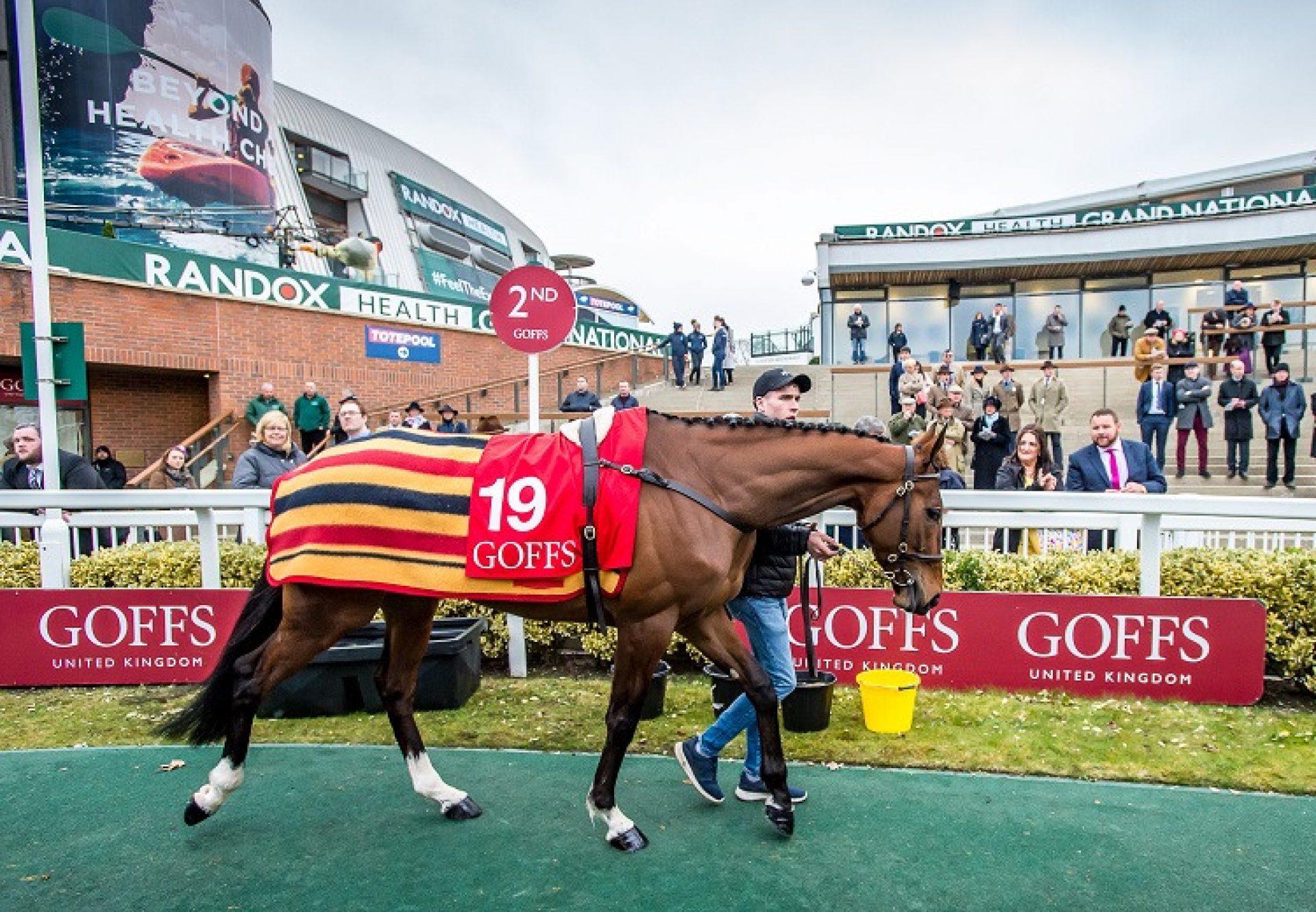 Little Light (Walk In The Park) selling for £200,000 at Aintree