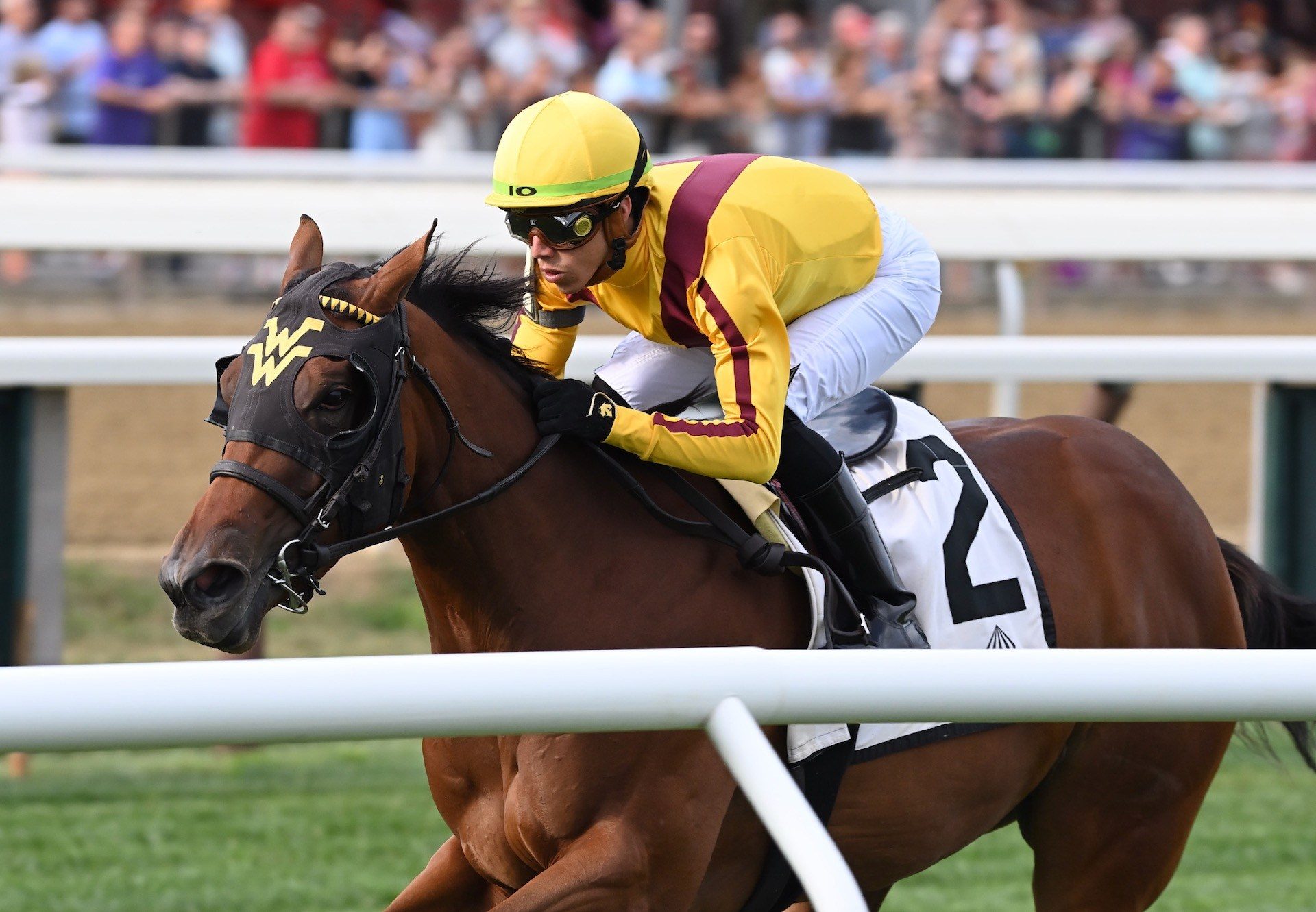 Love Reigns (U S Navy Flag) wins The Bolton Landing Stakes at Saratoga