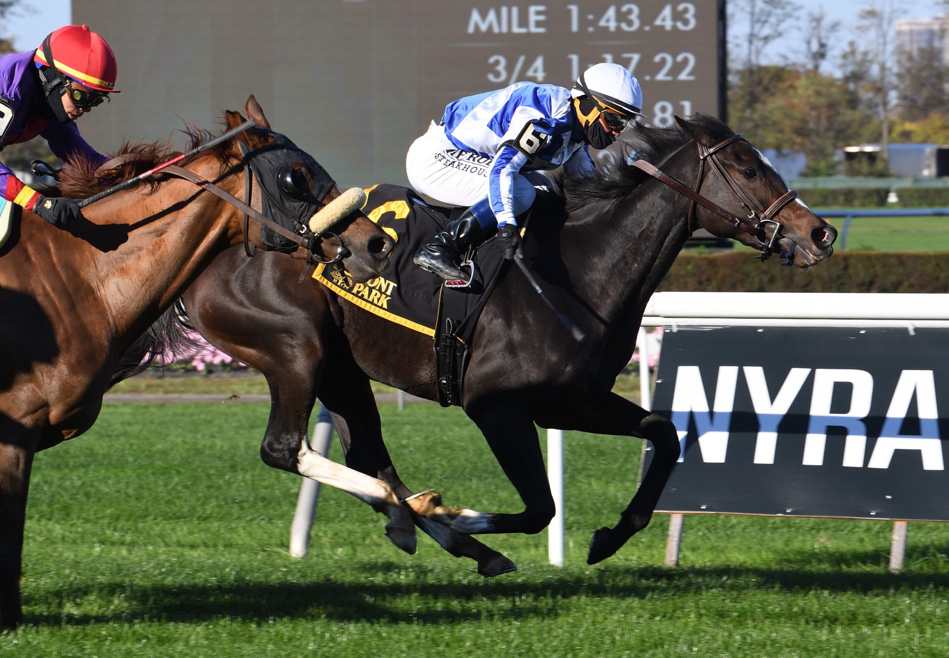 Luck Money (Lookin At Lucky) Wins The Zagora At Belmont Park