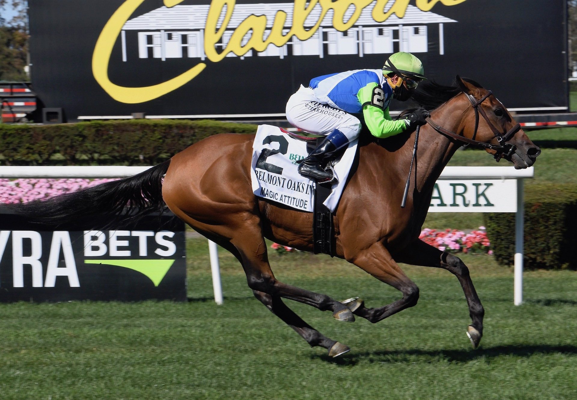 Magic Attitude (Galileo) wins the Gr.1 Belmont Oaks