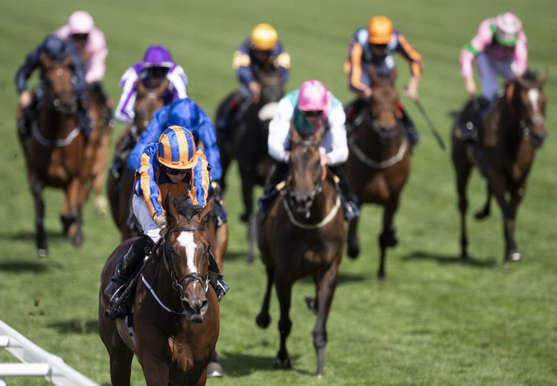 Magic Wand (Galileo) winning the G2 Ribblesdale at Royal Ascot