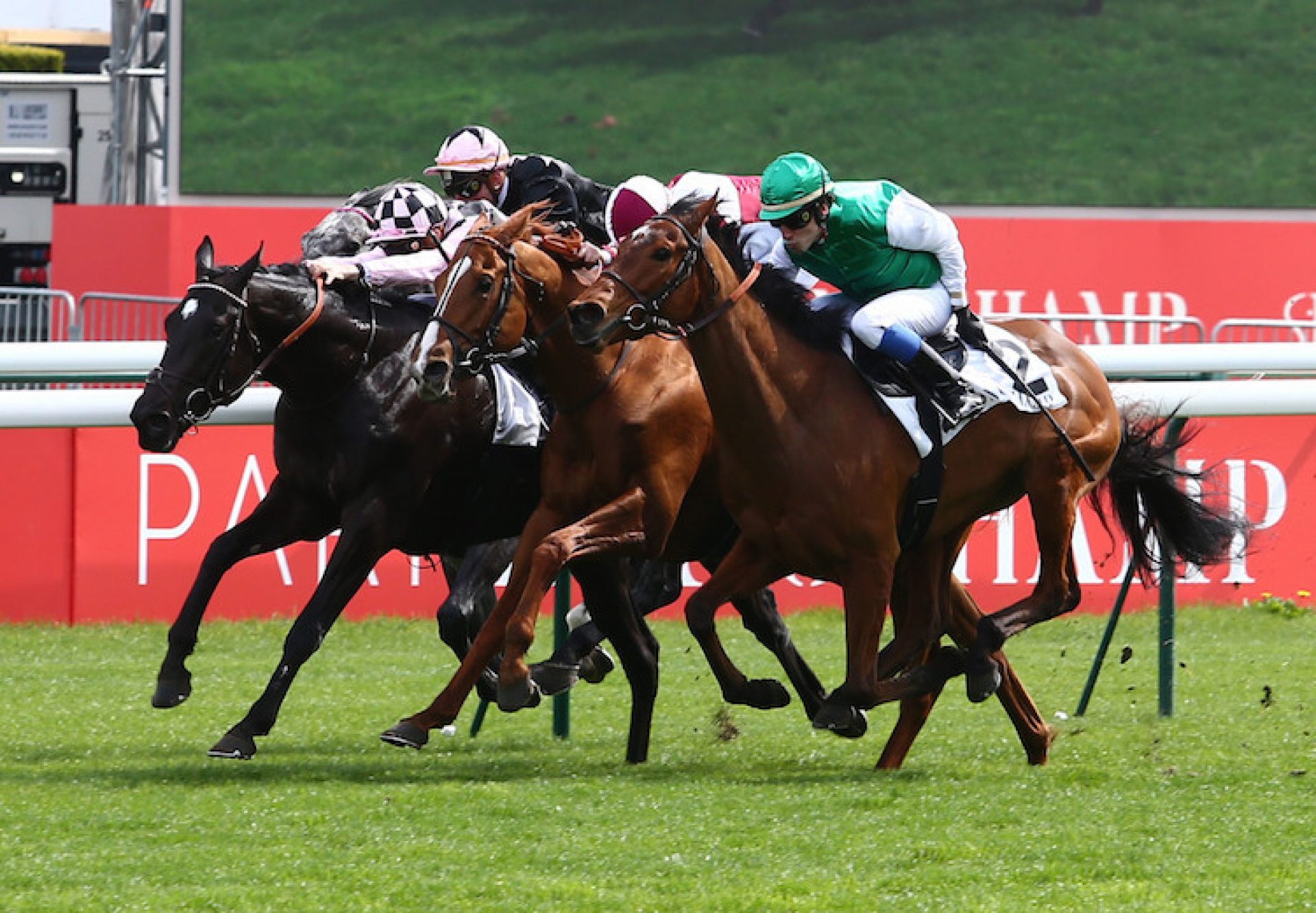 Marathon Man (So You Think) winning the Listed Prix Jacques Laffitte at Longchamp