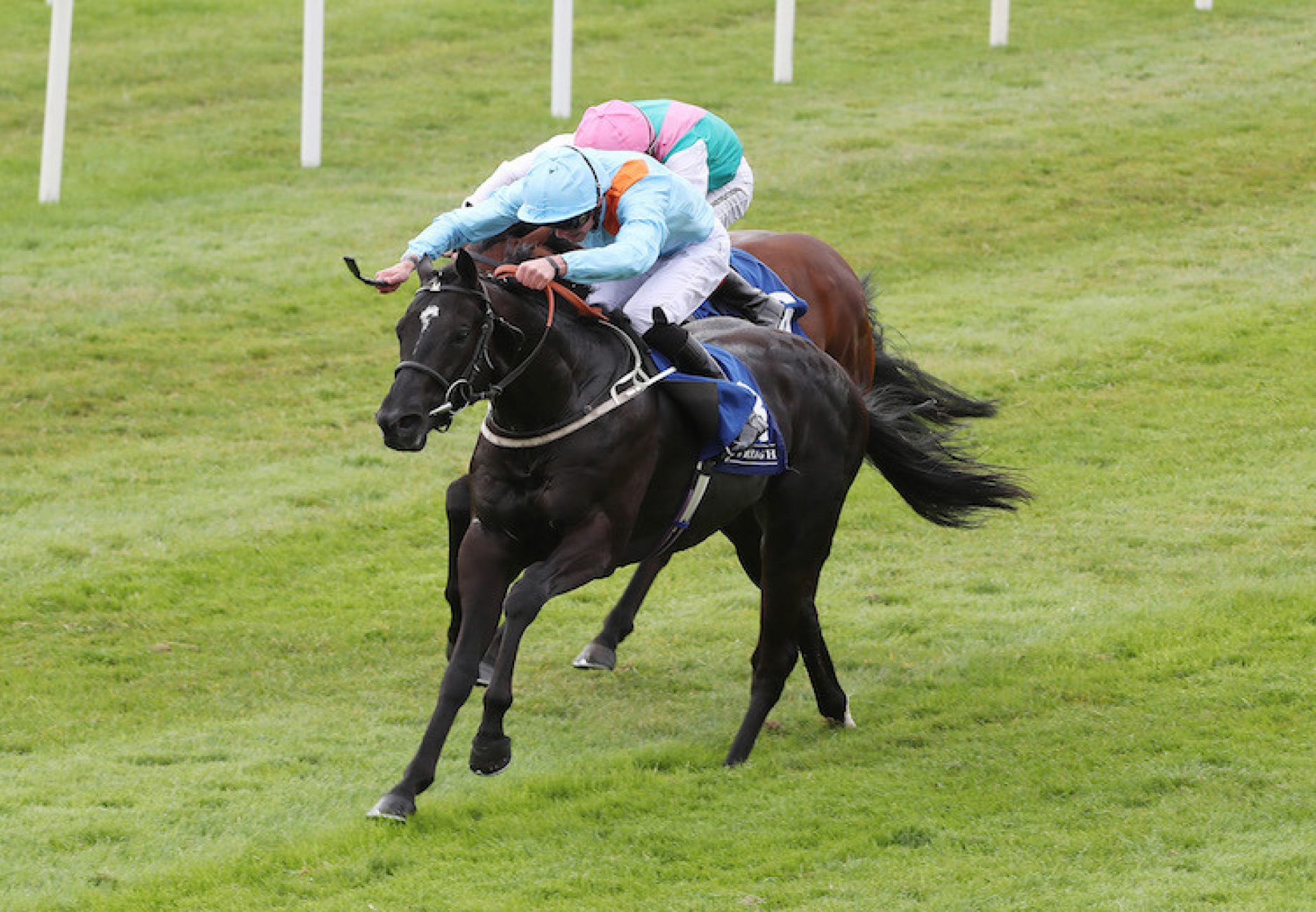 Marie's Diamond (Footstepsinthesand) winning the G3 Anglesey Stakes at the Curragh