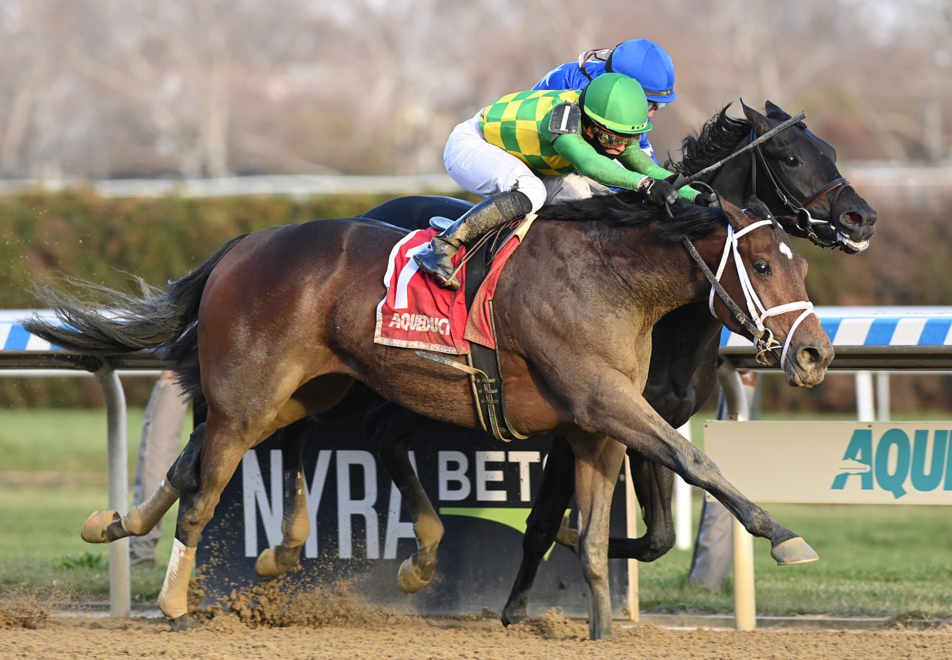 Mo Donegal (Uncle Mo) winning the Gr.2 Remsen at Aqueduct