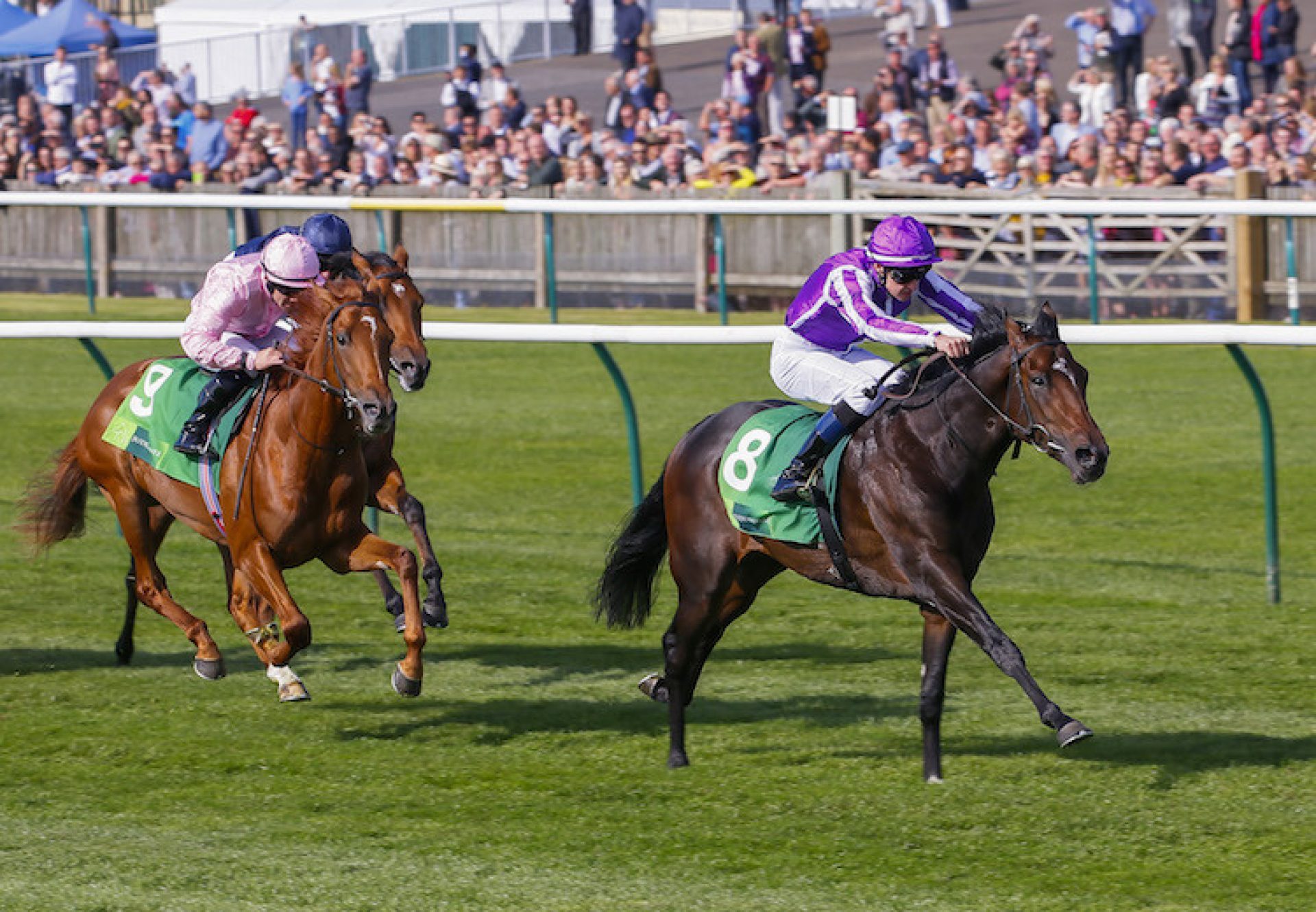 Mohawk (Galileo) winning the G2 Royal Lodge at Newmarket