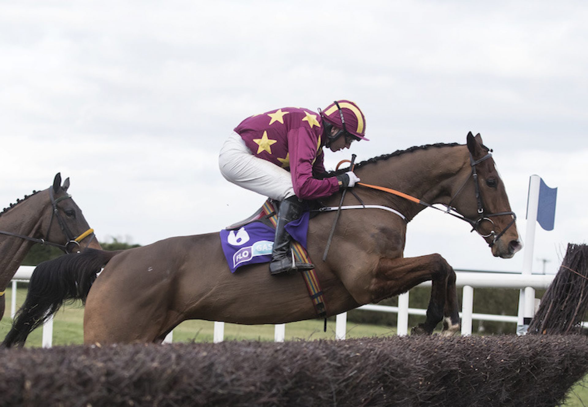 Monalee (Milan) winning the G1 G1 Flogas Novice Chase at Leopardstown