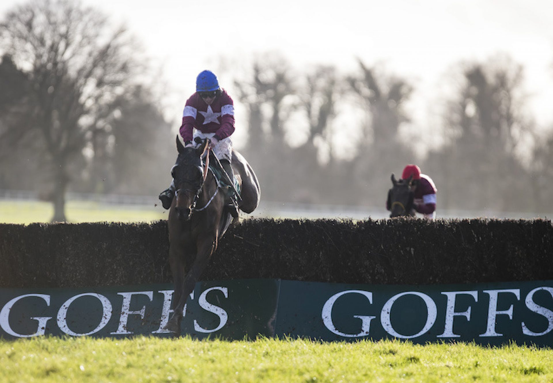 Monbeg Notorious (Milan) winning the Thyestes at Gowran Park