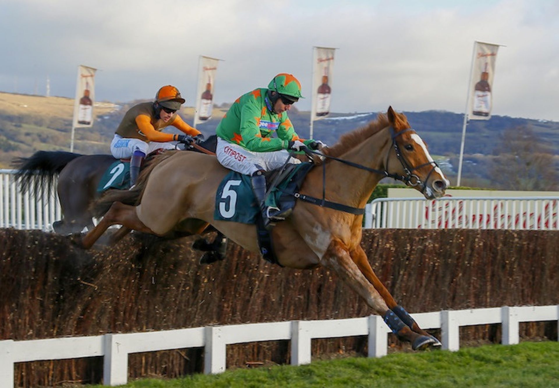 Ms Parfois (Mahler) winning over fences at Cheltenham