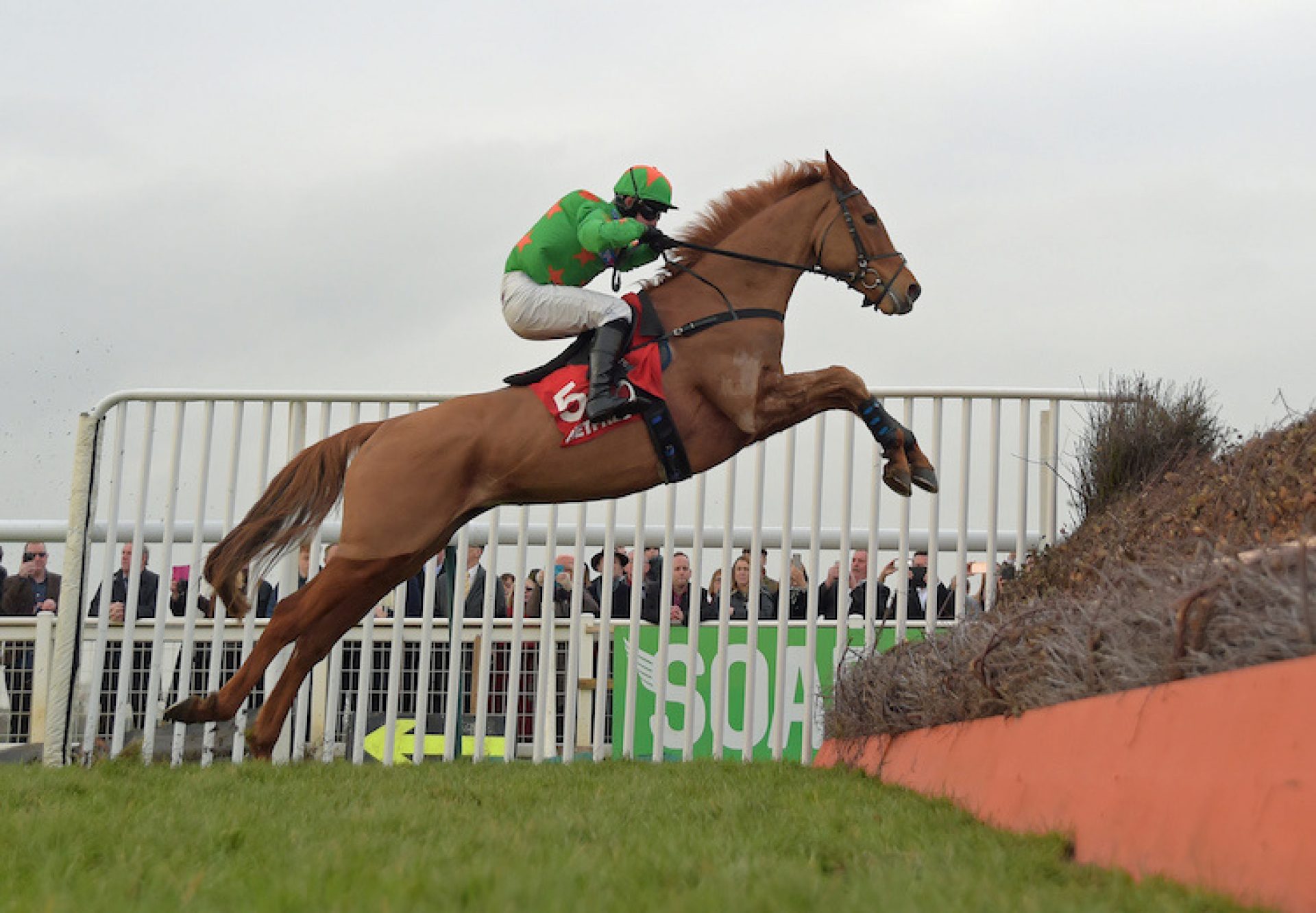 Ms Parfois (Mahler) winning the Listed Hampton Novices’ Chase at Warwick