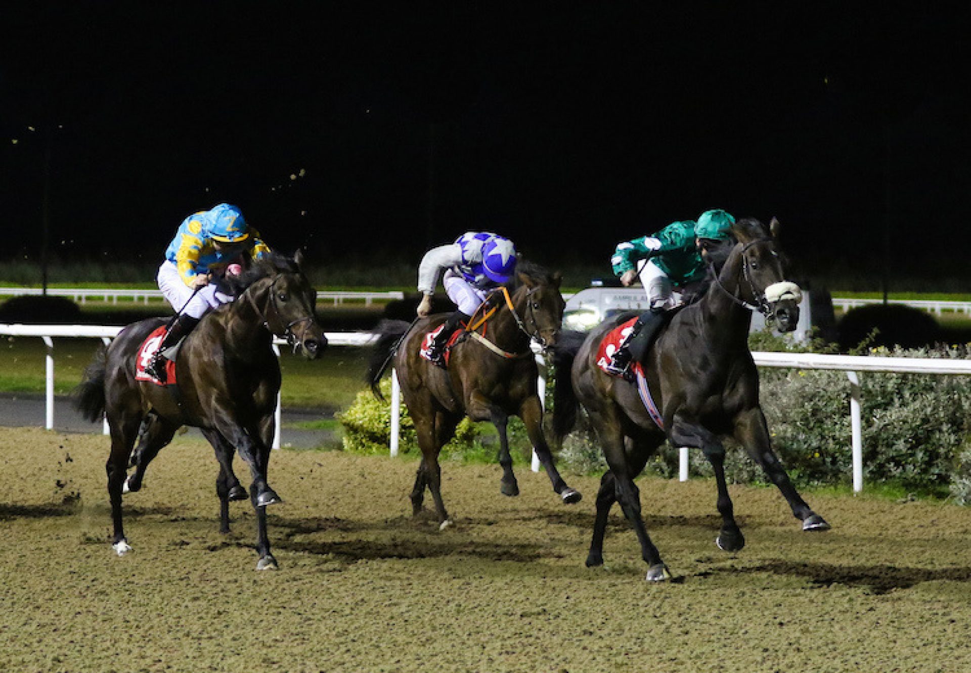No Needs Never (No Nay Never) winning the Listed Star Appeal Stakes at Dundalk