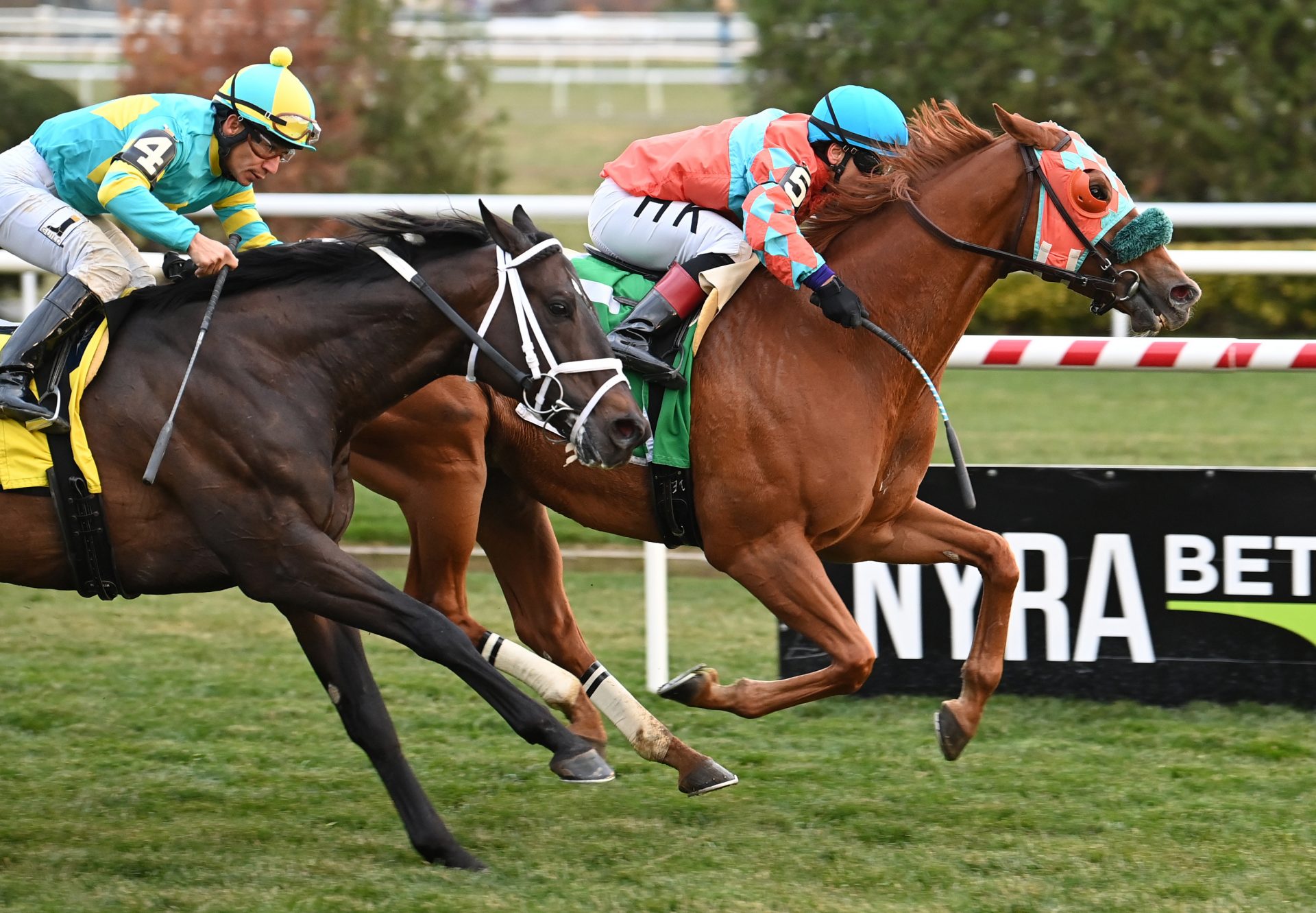 Nothing Better (Munnings) Wins Aqueduct Turf Sprint