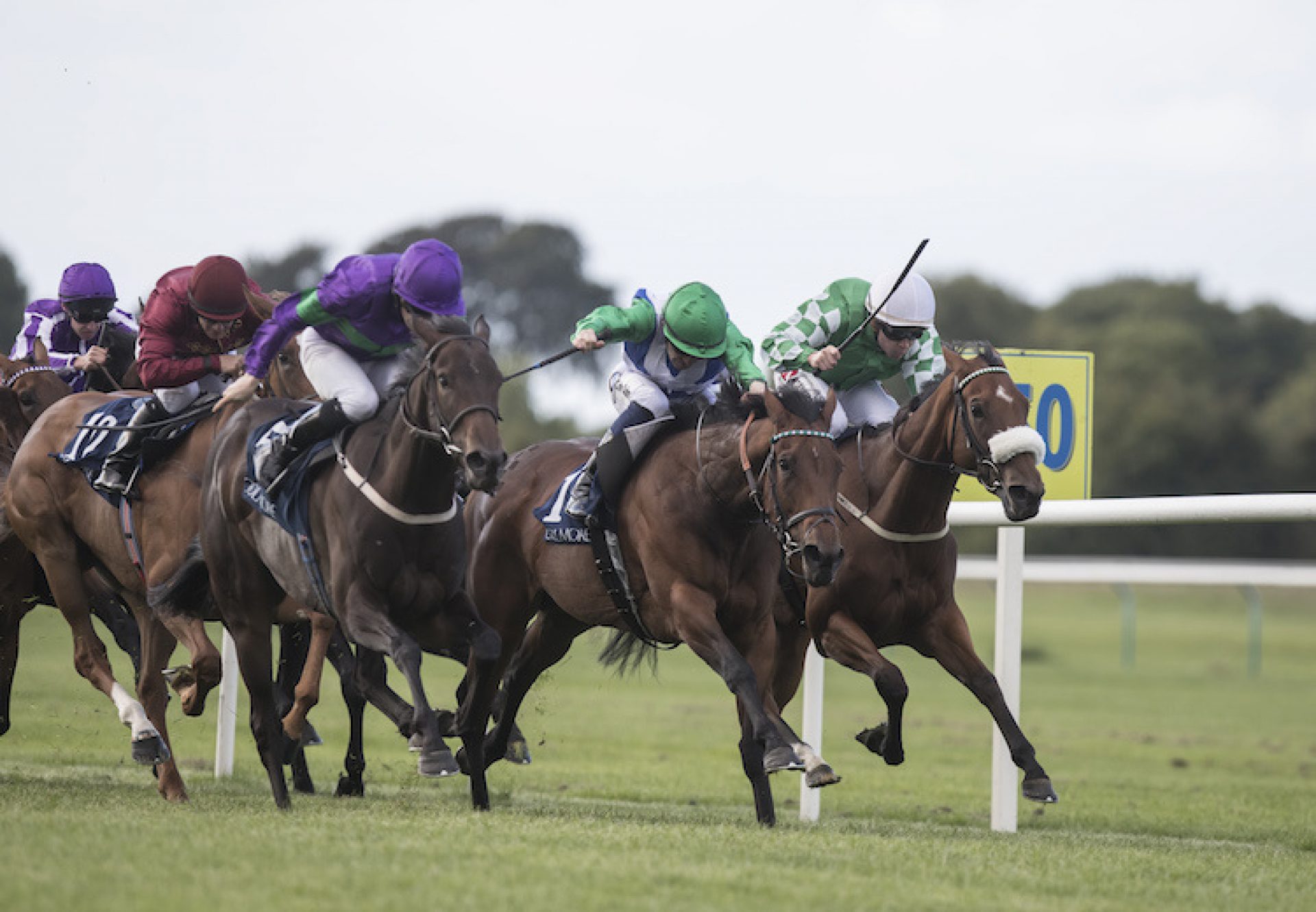 One Master (Mastercraftsman) winning the G3 Coolmore Stud Fairy Bridge Stakes at Tipperary