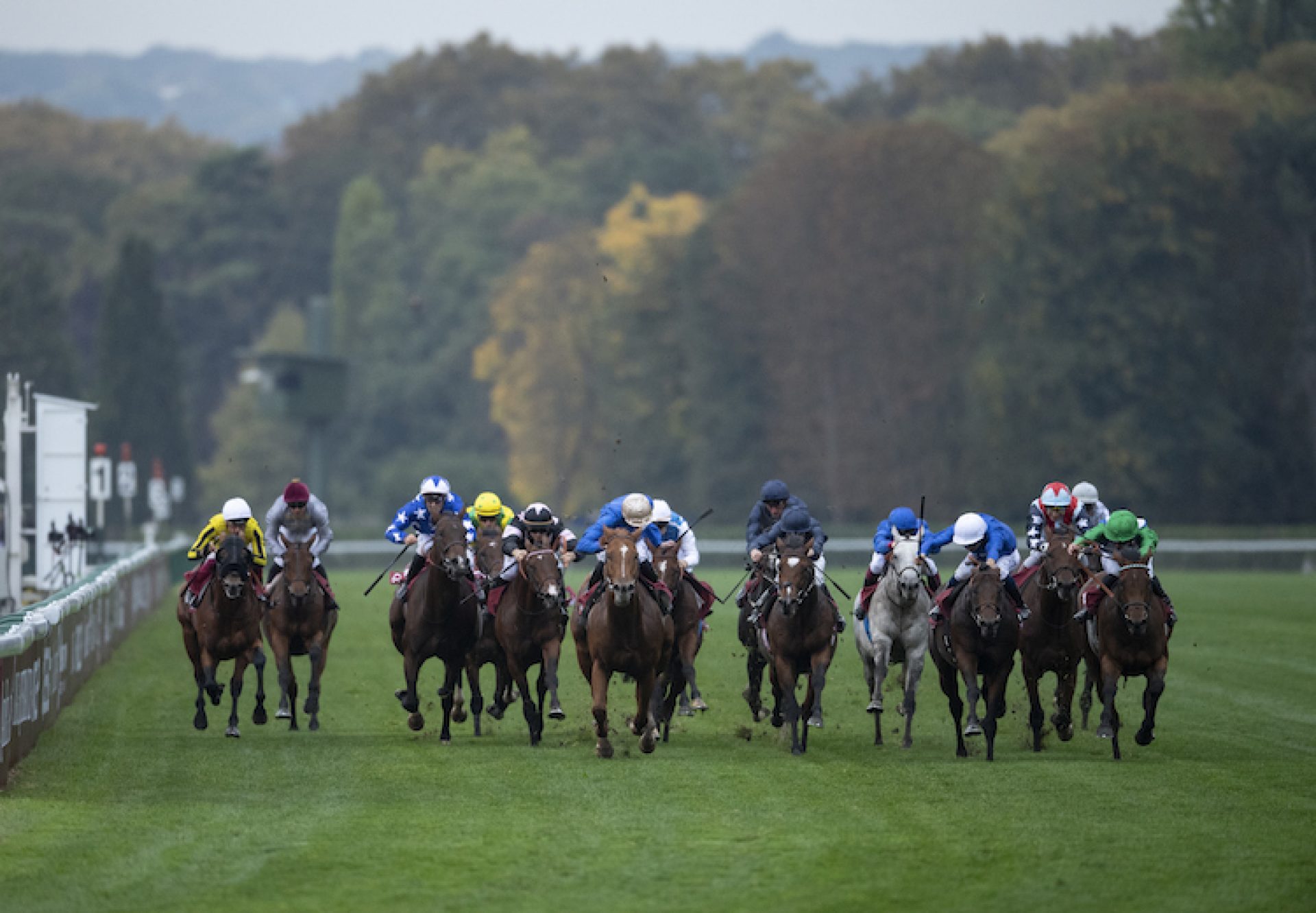 One Master (Fastnet Rock) winning the G1 Prix de la Foret at ParisLongchamp