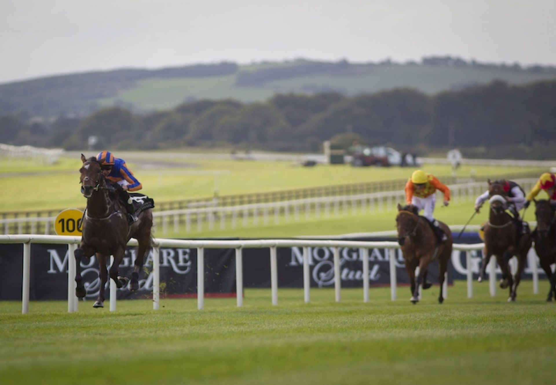 Order Of St George (Galileo) winning the G1 Irish St Leger at the Curragh