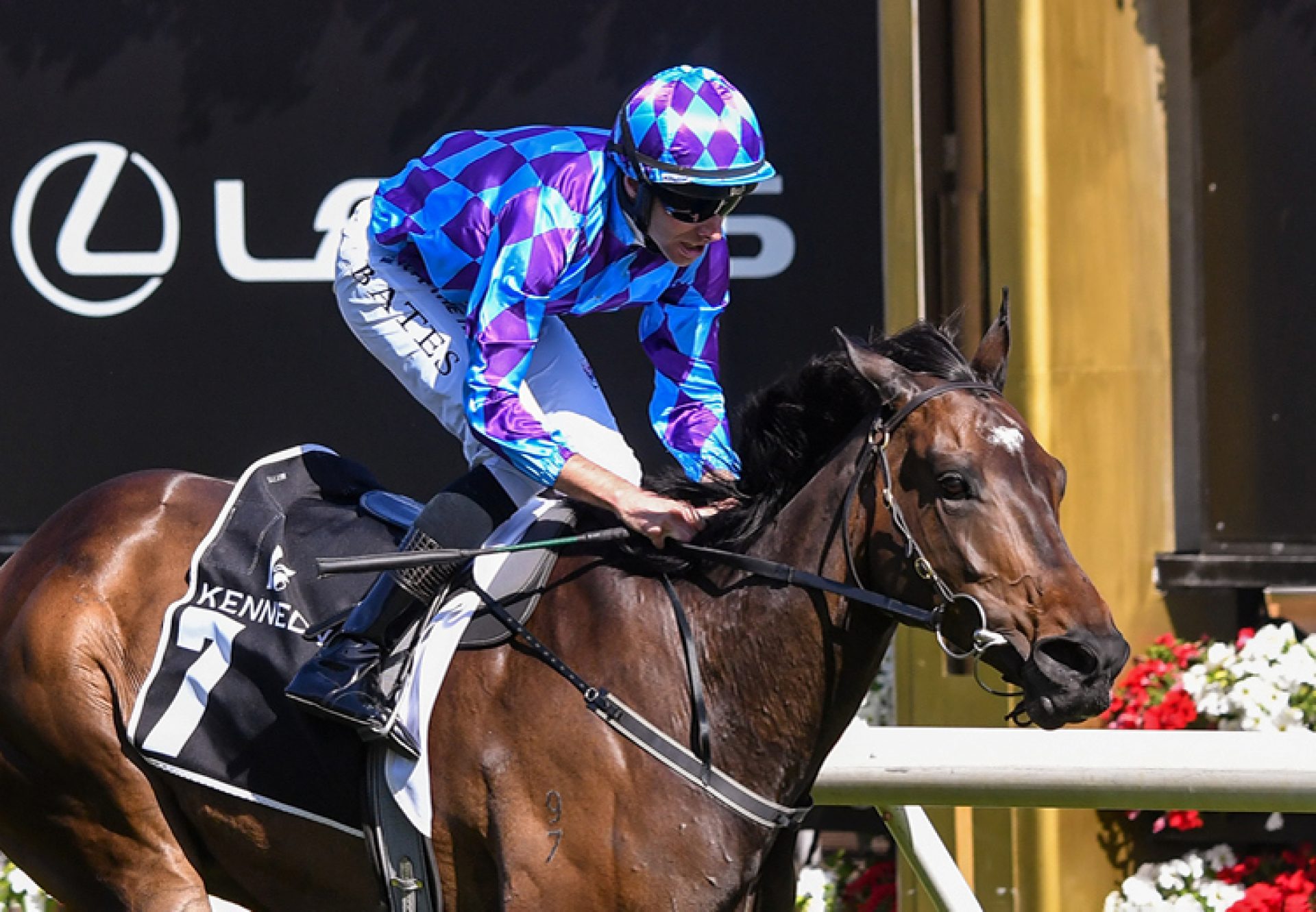 Pride Of Jenni (Pride Of Duabi) wins the Gr.1 Kennedy Champions Mile  at Flemington