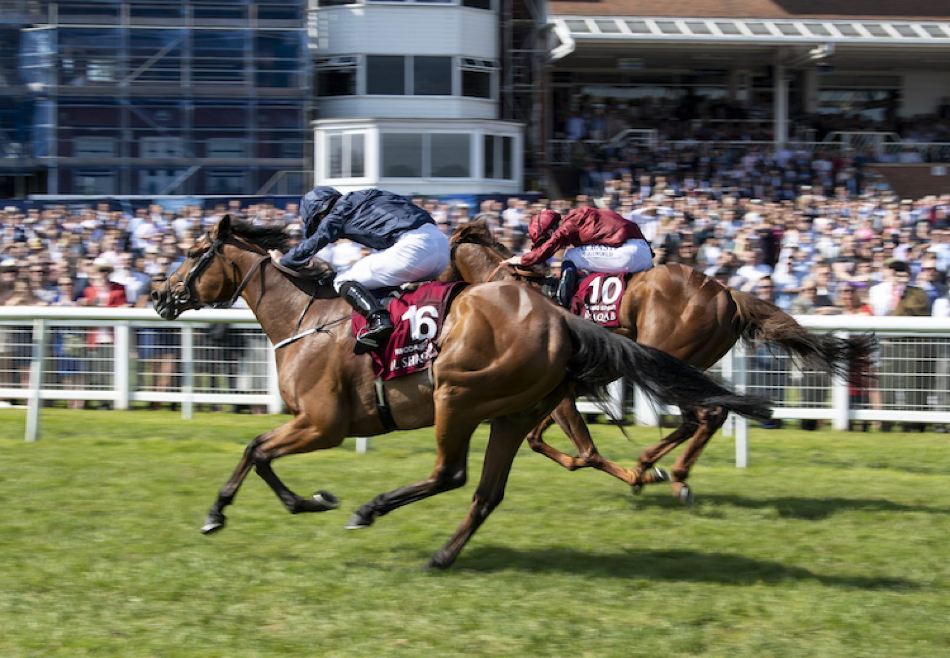 Rhododendron (Galileo) winning the G1 Lockinge Stakes at Newbury