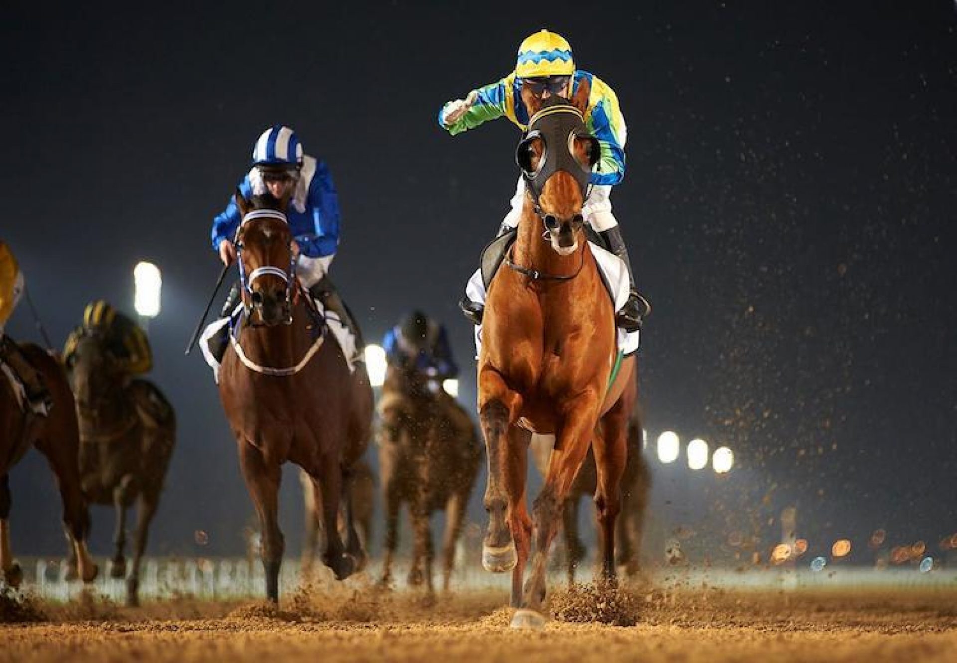 Rich Tapestry (Holy Roman Emperor) winning the G3 Al Shindgha Sprint at Meydan