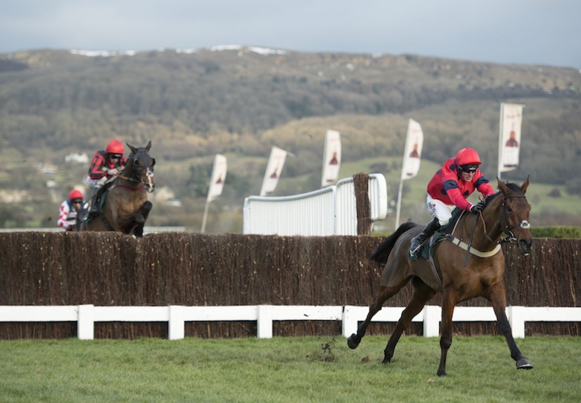 Robinsfirth (Cheltenham) winning a G3 chase at Cheltenham