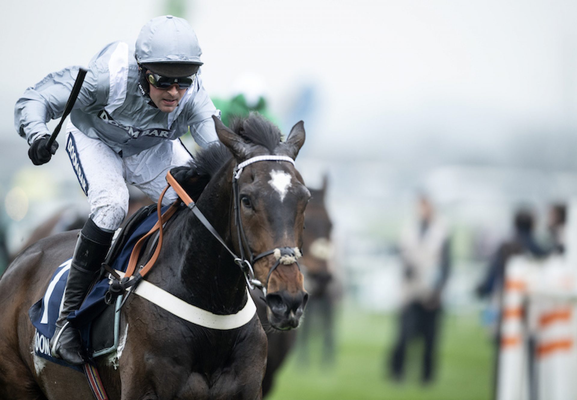 Santini (Milan) winning the G1 Sefton Novices’ Hurdle at Aintree