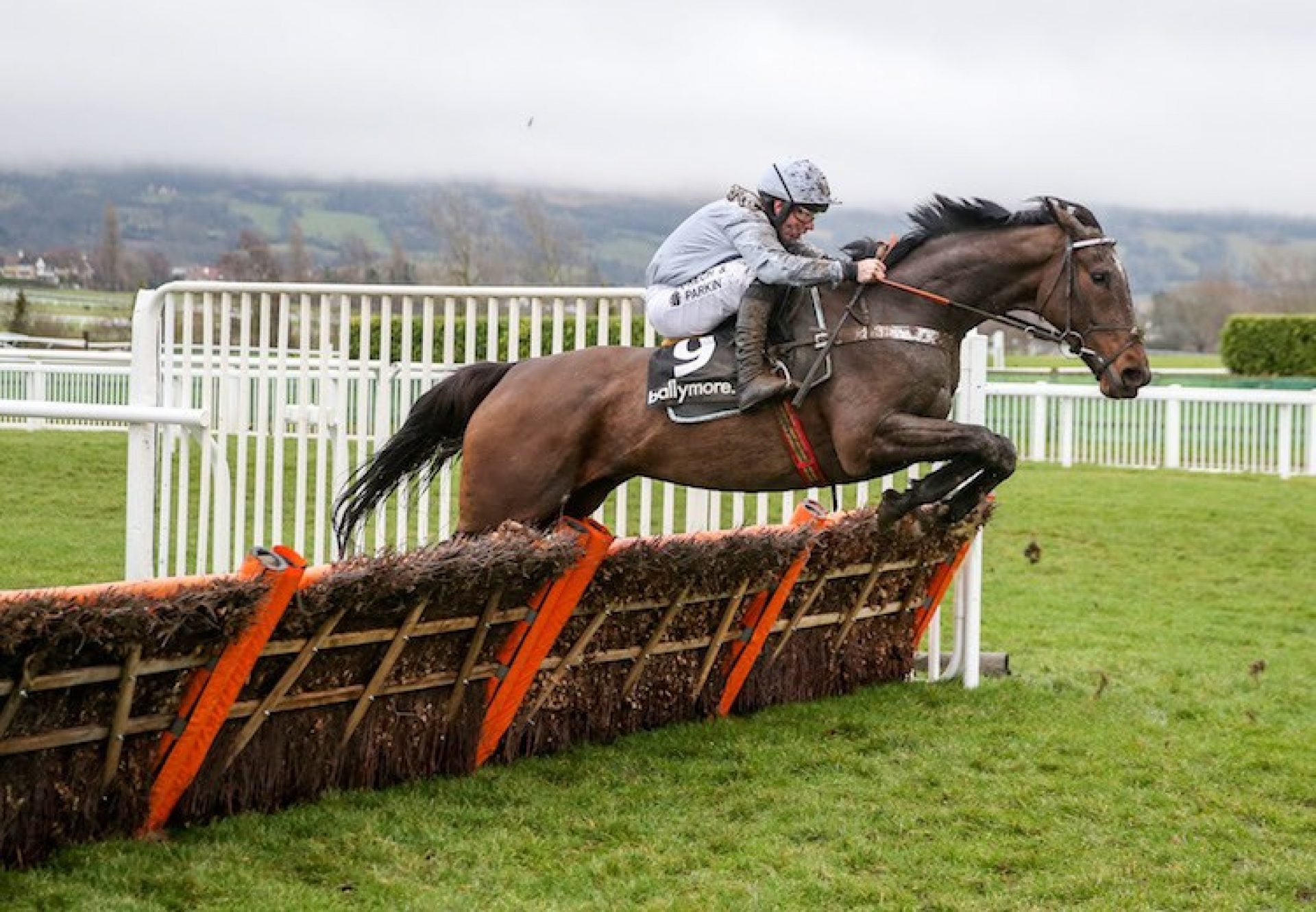 Santini (Milan) winning the G2 Ballymore Classic Novices' Hurdle at Cheltenham