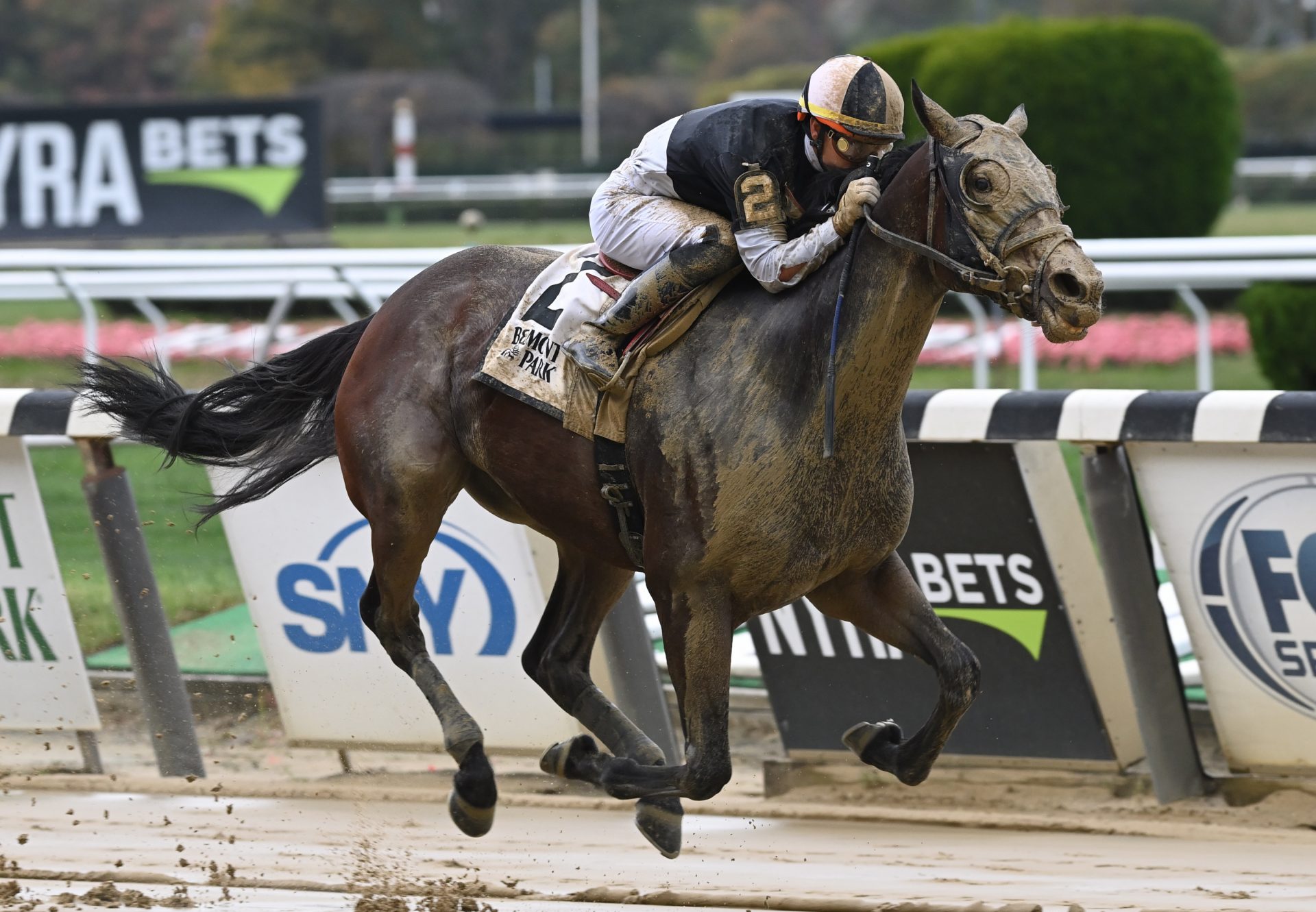 Sharp Starr (Munnings) winning the  Empire Distaff Handicap at Belmont Park