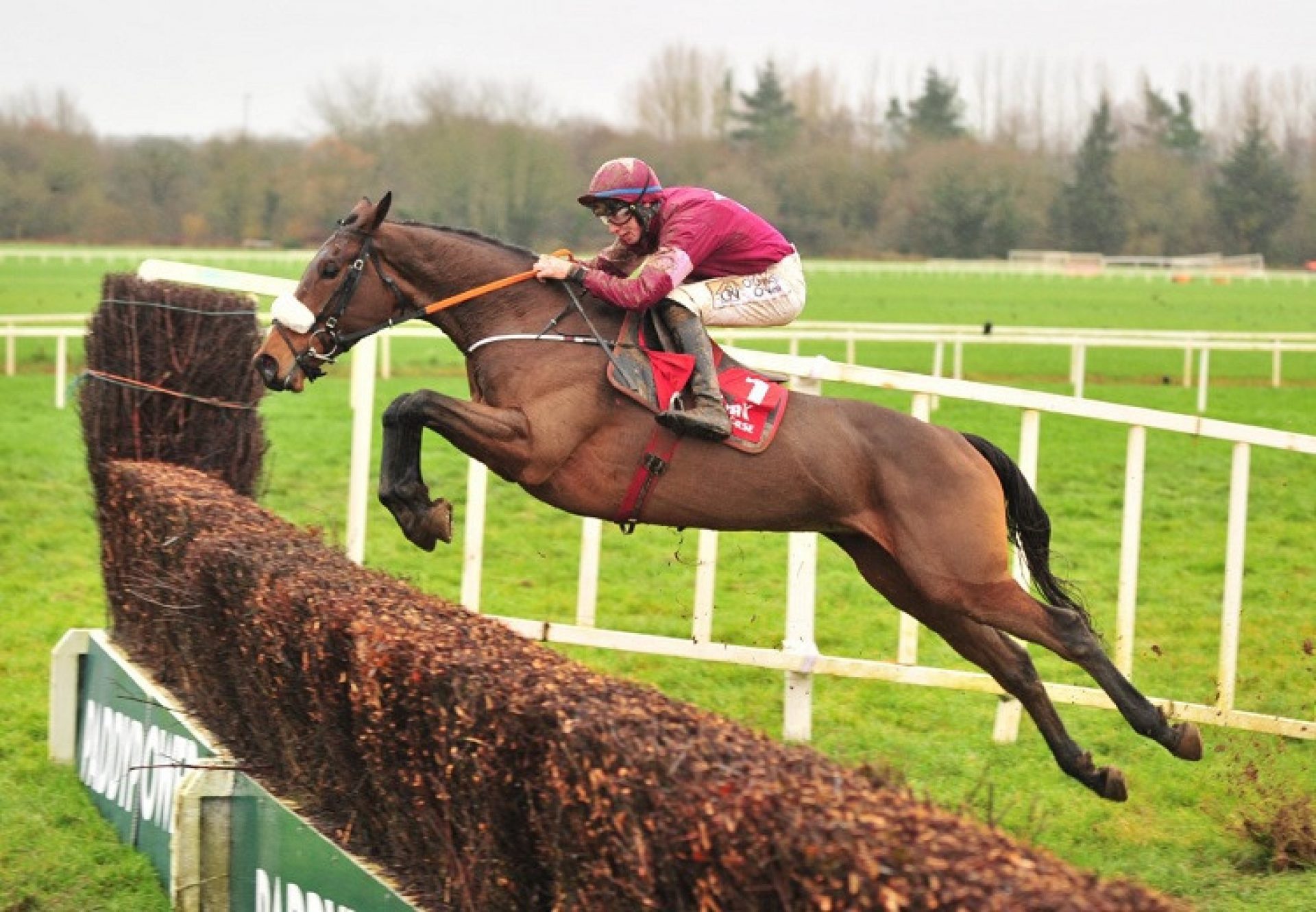 Shattered Love (Yeats) winning the G3 Kerry Group Irish EBF Novice Chase at Cork