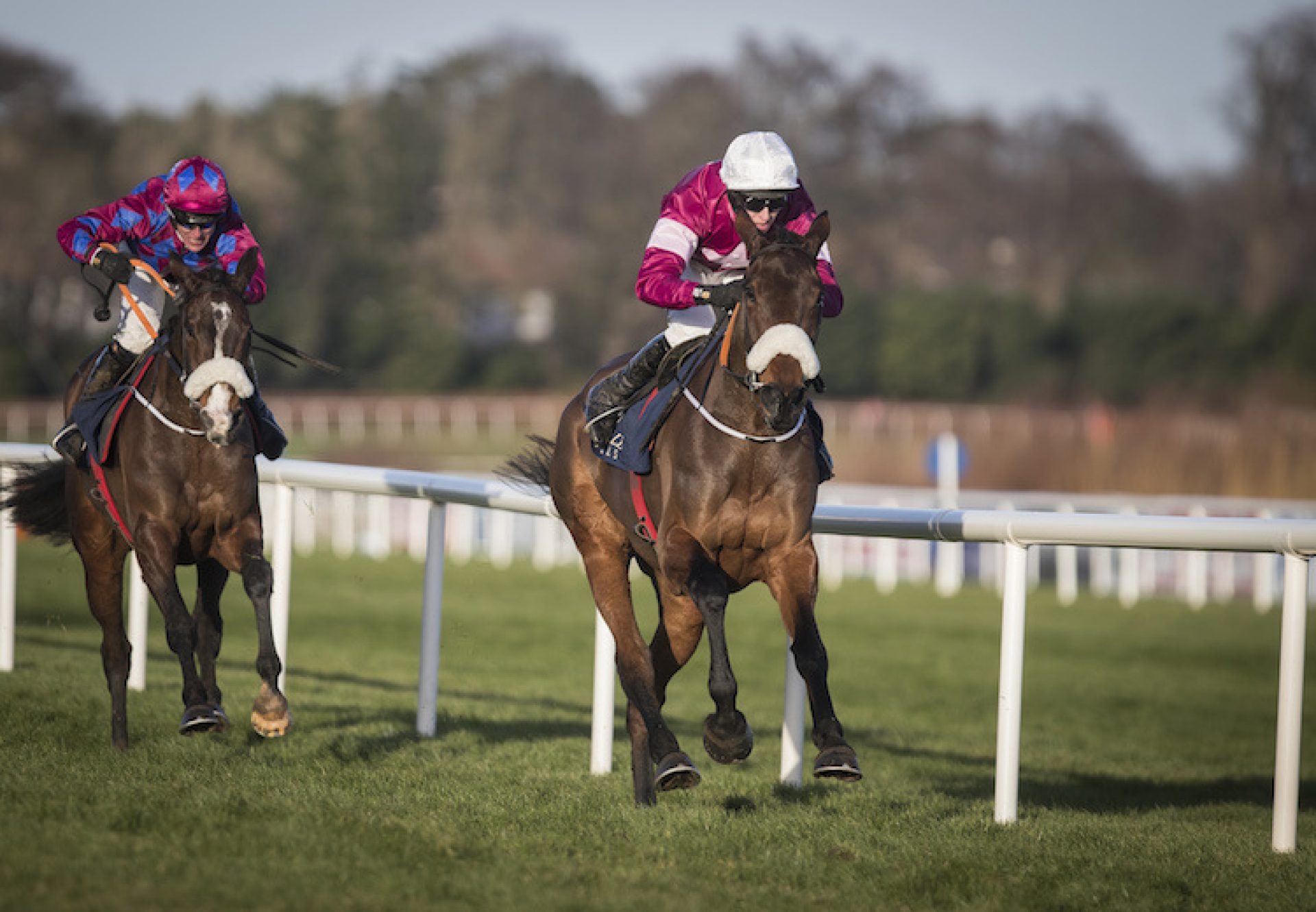 Shattered Love (Yeats) winning the G1 Neville Hotels Novice Chase at Leopardstown