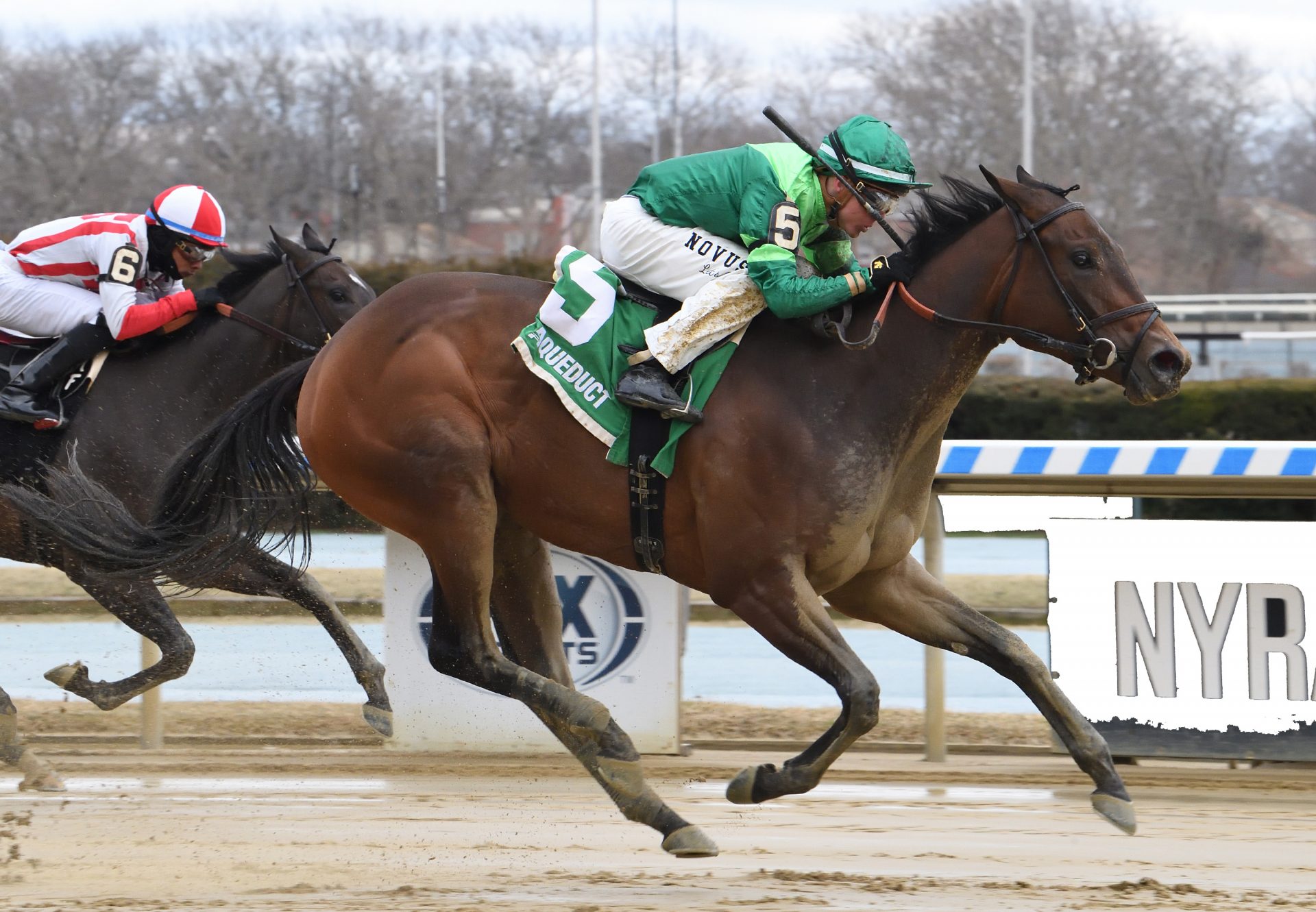 Shidabhuti (Practical Joke) Wins Busher Stakes at Aqueduct