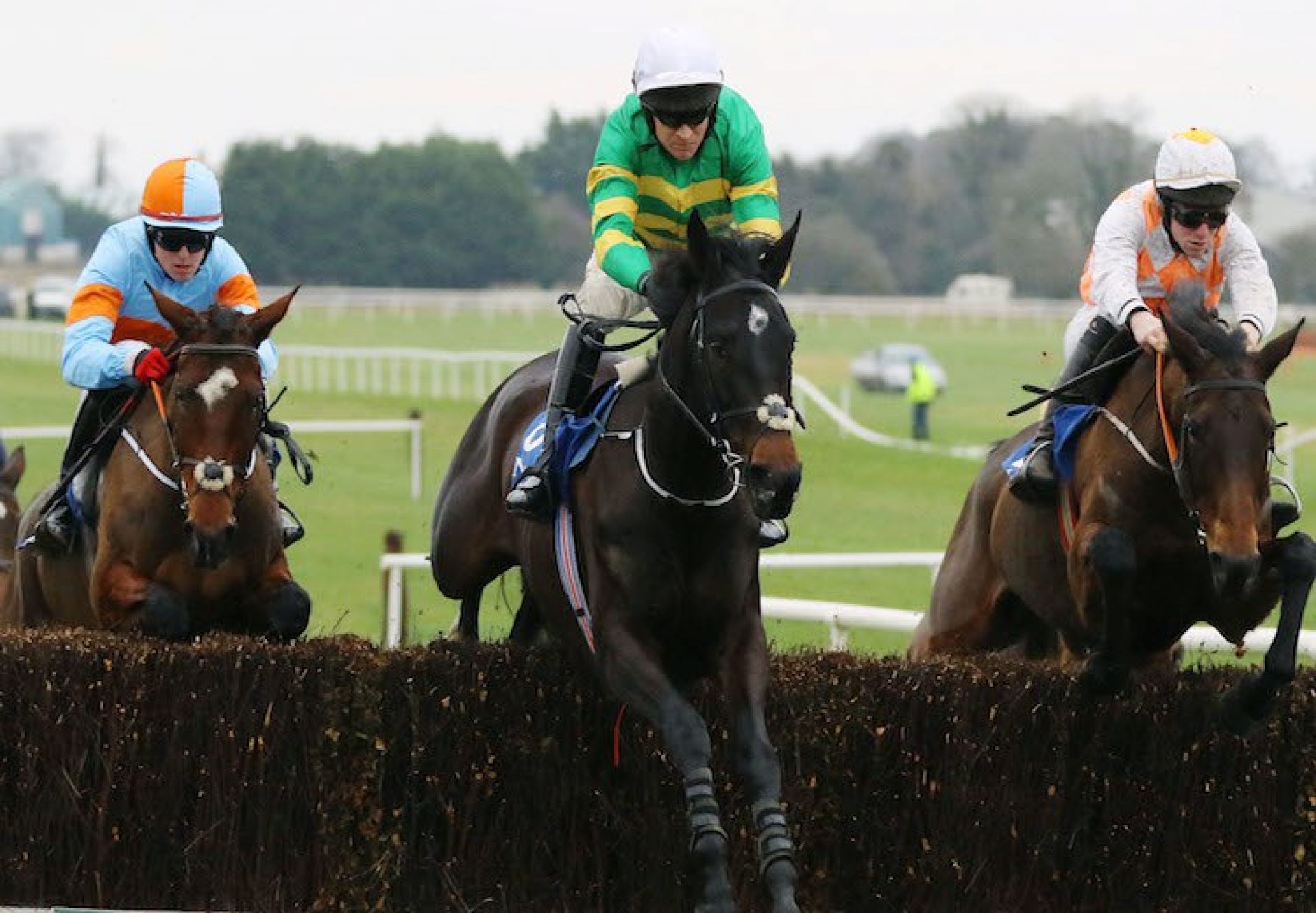 Slowmotion (Soldier Of Fortune) winning over fences at Naas