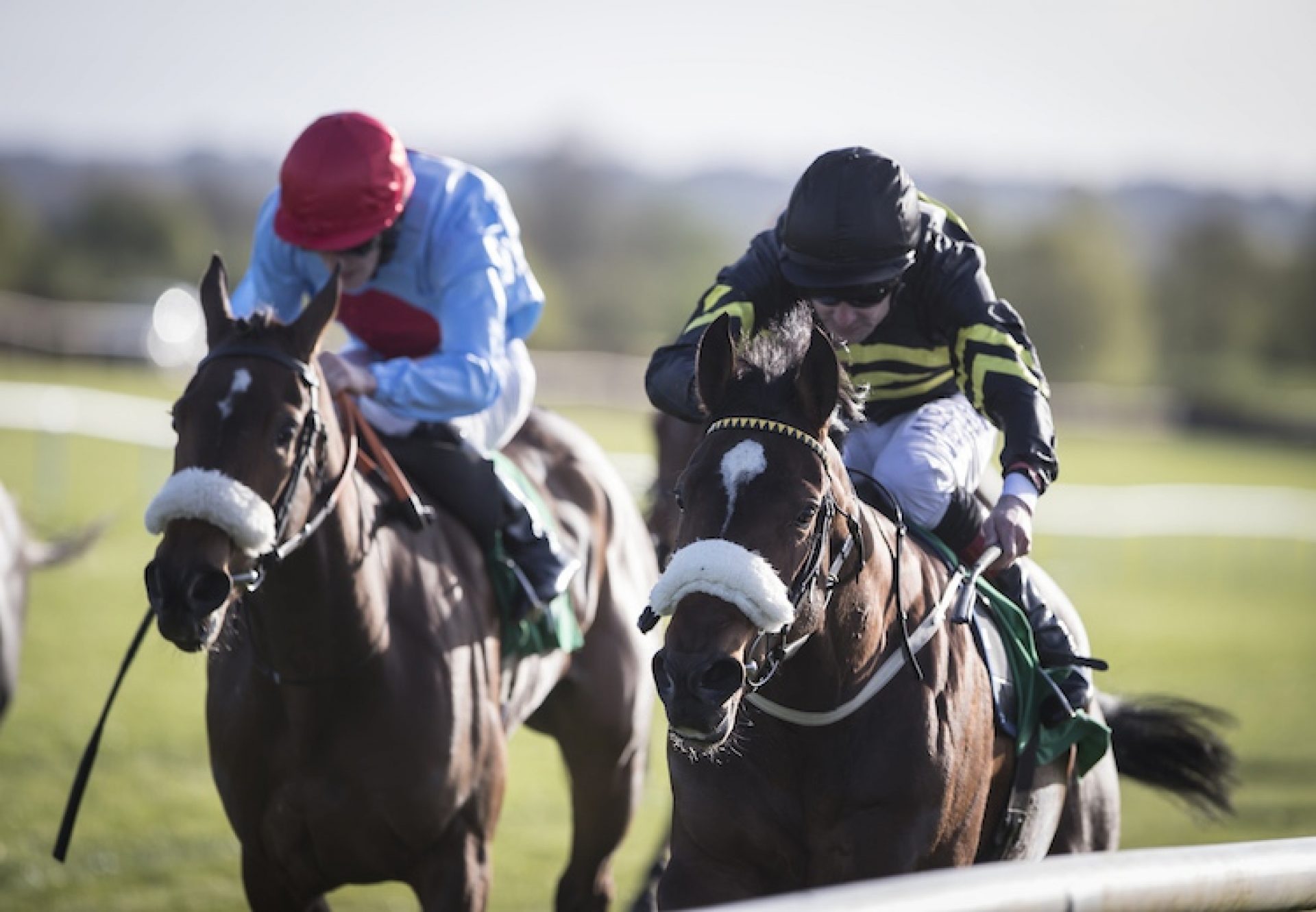 So You Thought (So You Think) winning a maiden at Navan