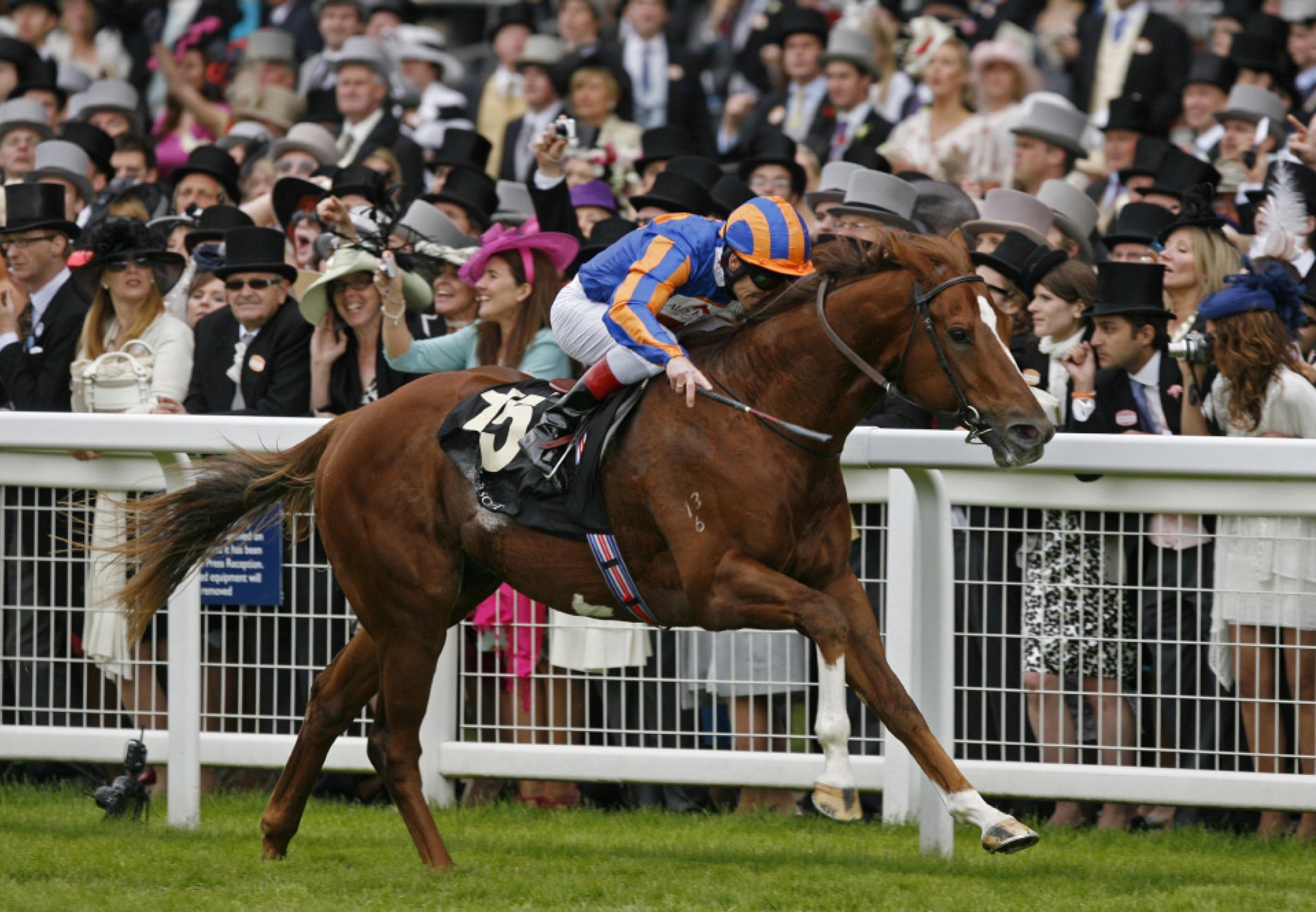 Starspangledbanner winning the Golden Jubilee