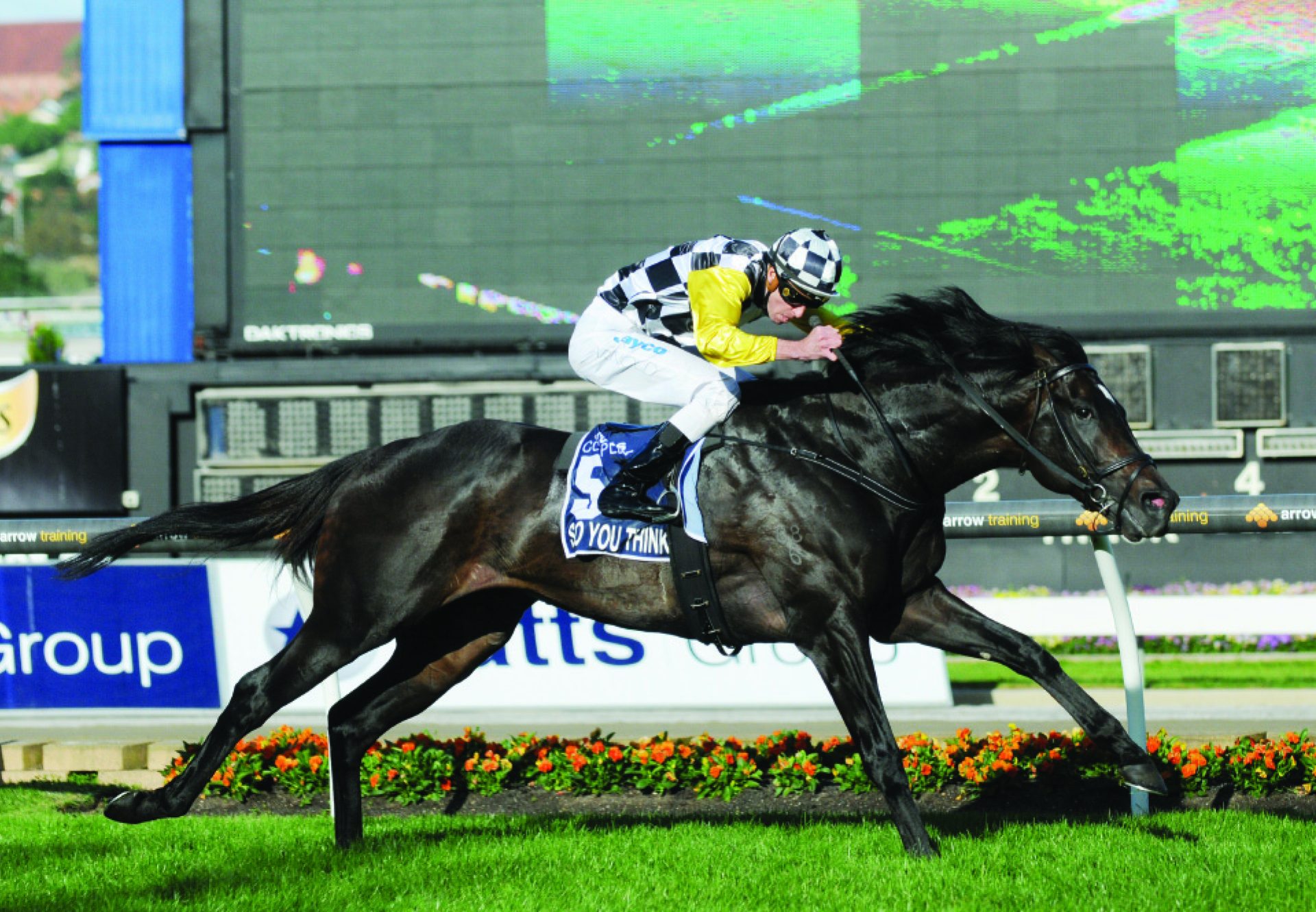 So You Think winning the Cox Plate