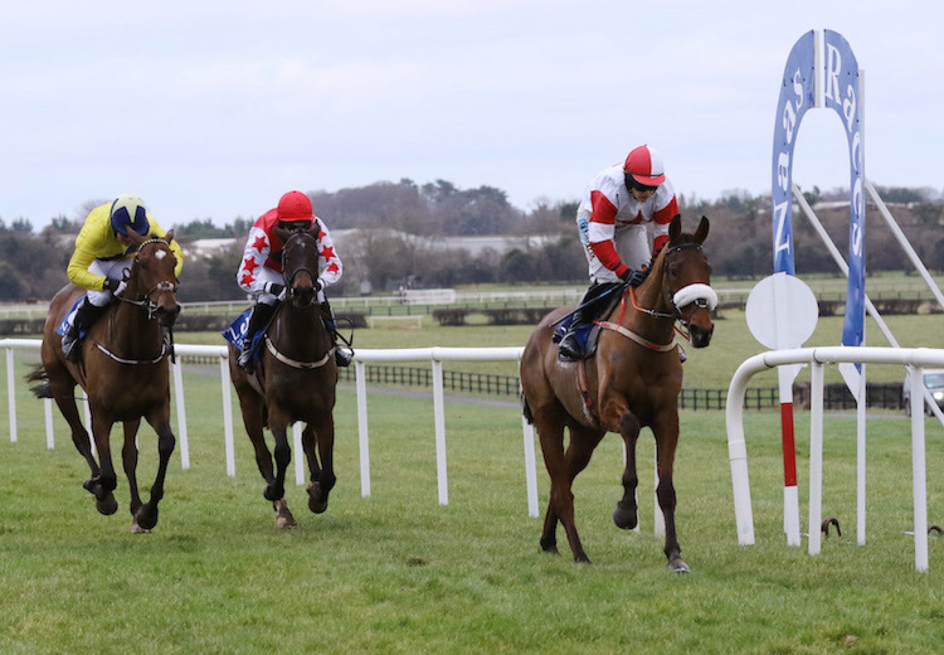 The Big Dog (Mahler) winning a bumper at Naas