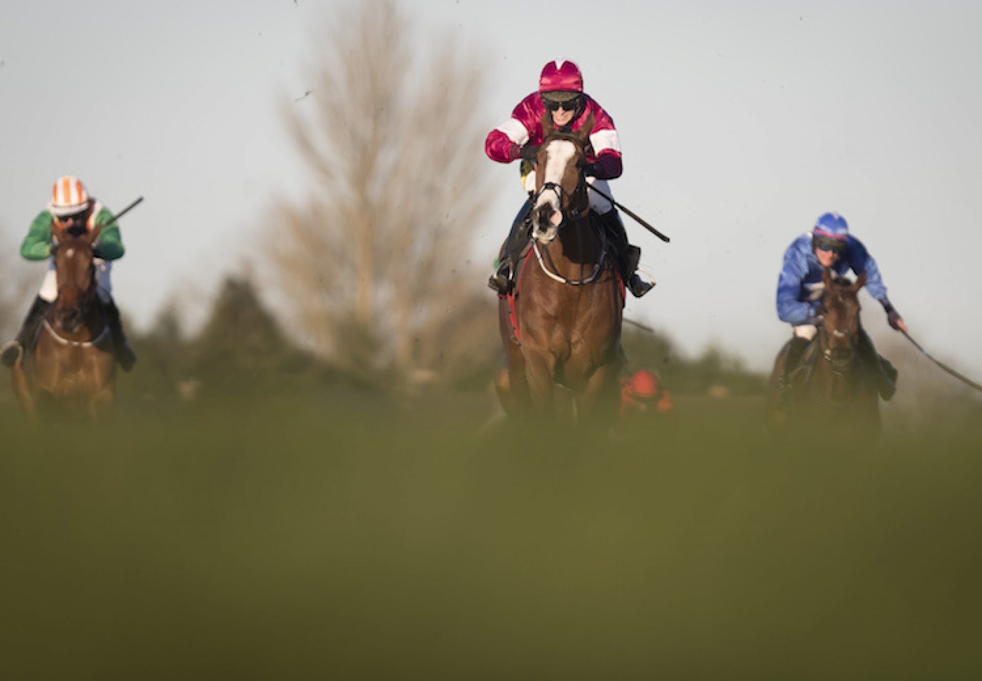 Tintangle (Yeats) winning a bumper at Down Royal