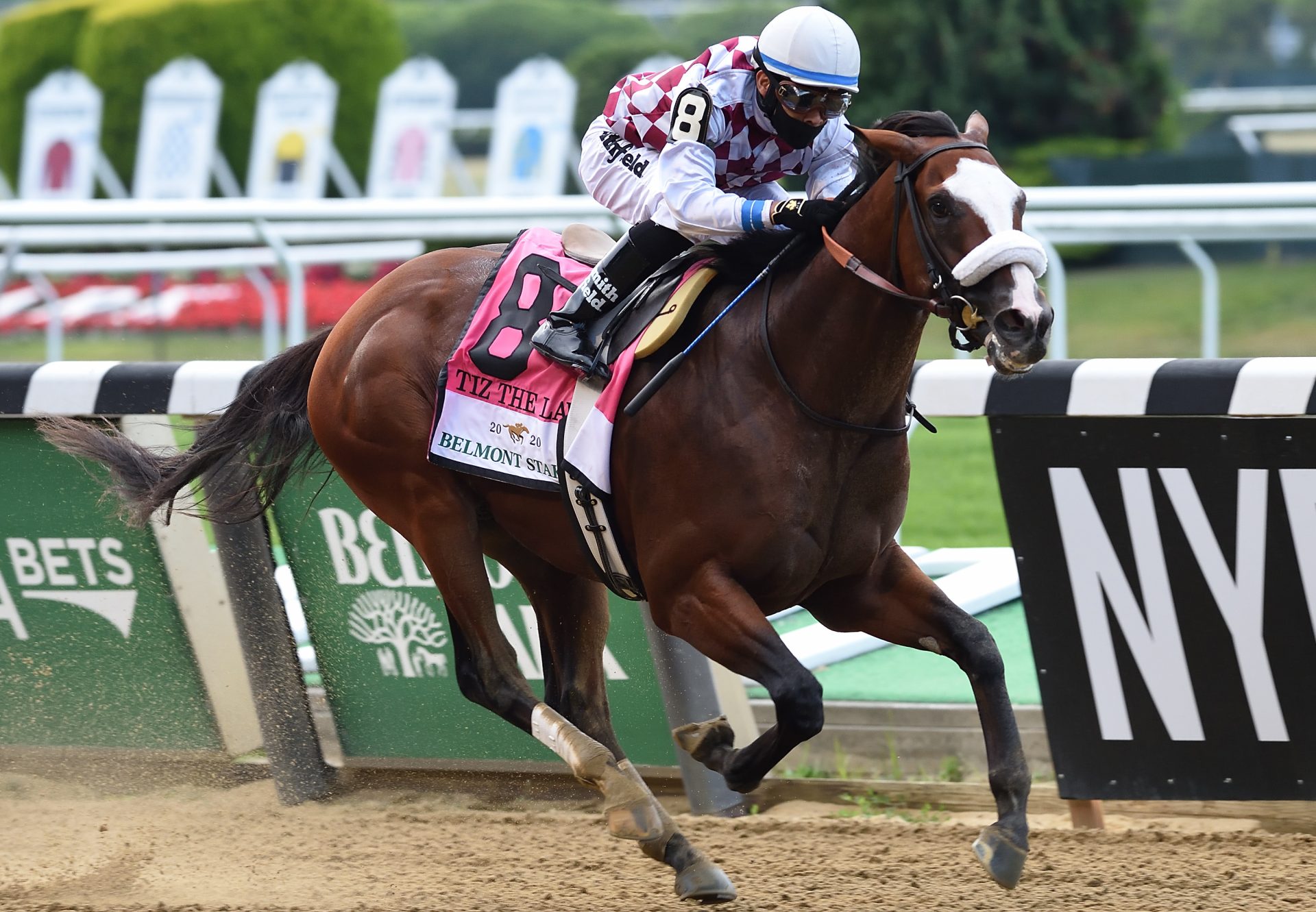 Tiz The Law The Belmont Stakes  Belmont20 Coglianese