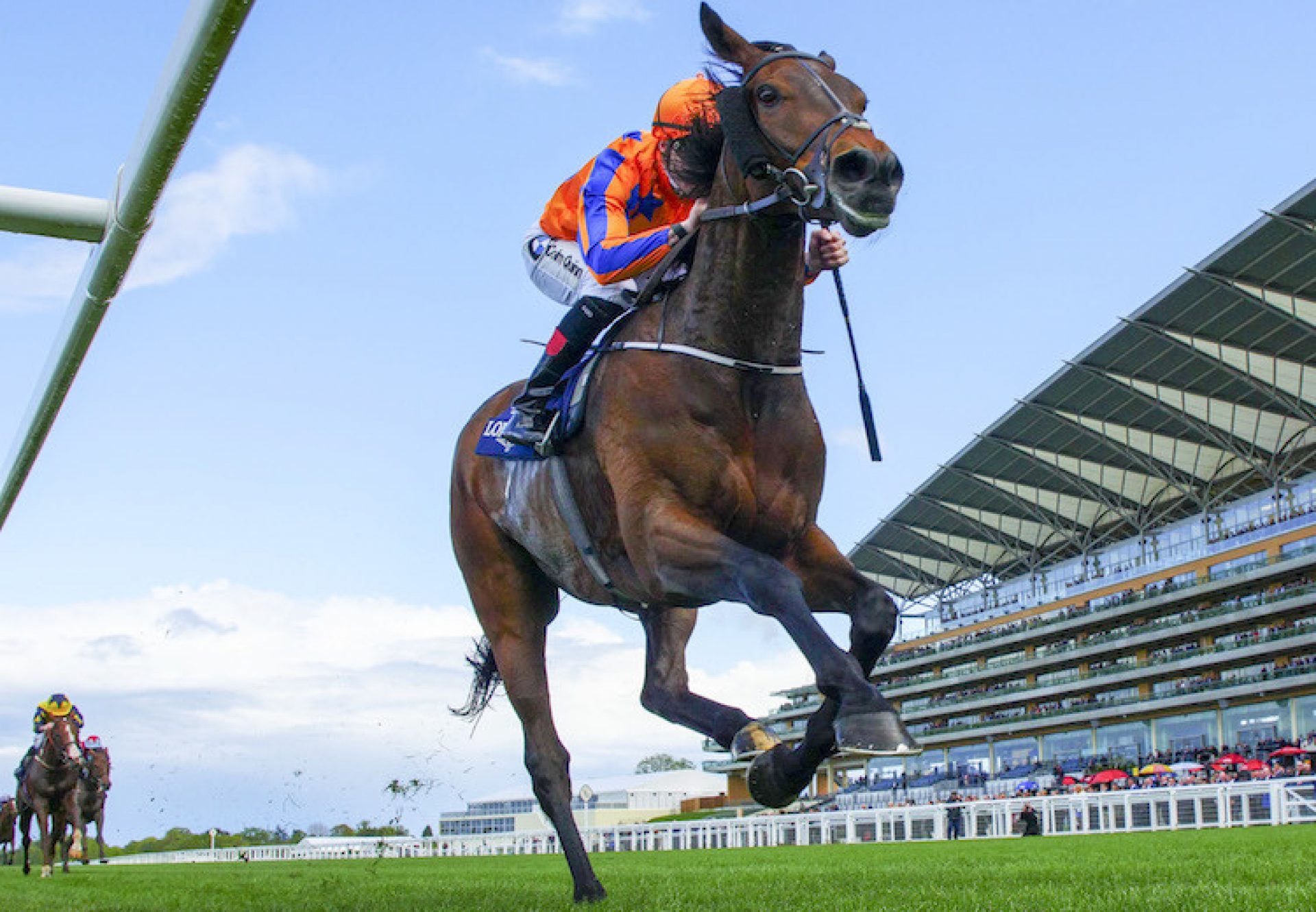 Torcedor (Fastnet Rock) winning the Sagaro Stakes (Gr.3) at Ascot