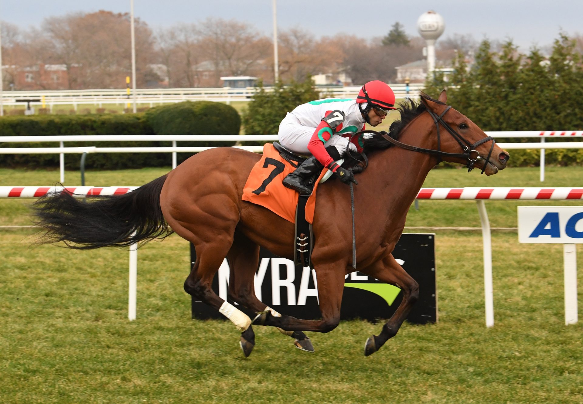 Turned Aside (American Pharoah) Winning Allowance At Aqueduct