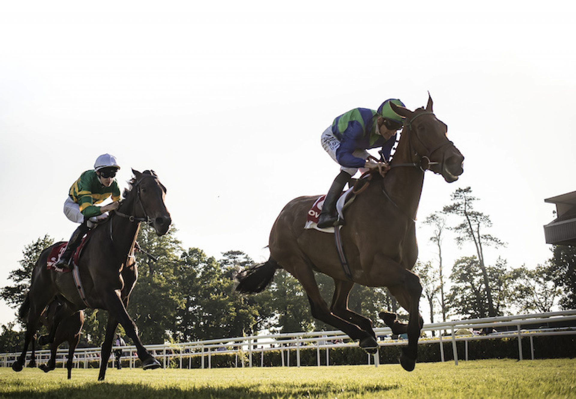 Turret Rocks (Fastnet Rock) winning the Listed Victor McCalmont Memorial Stakes at Gowran Park