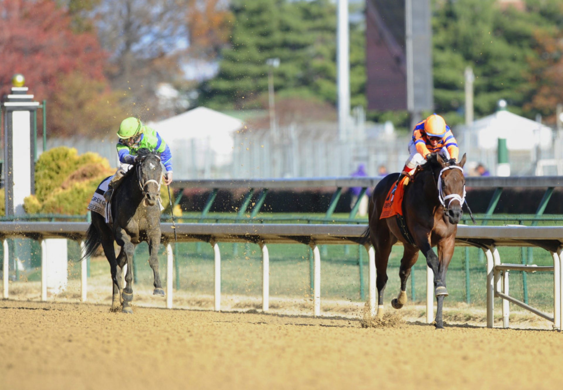 Uncle Mo winning the Champagne Stakes