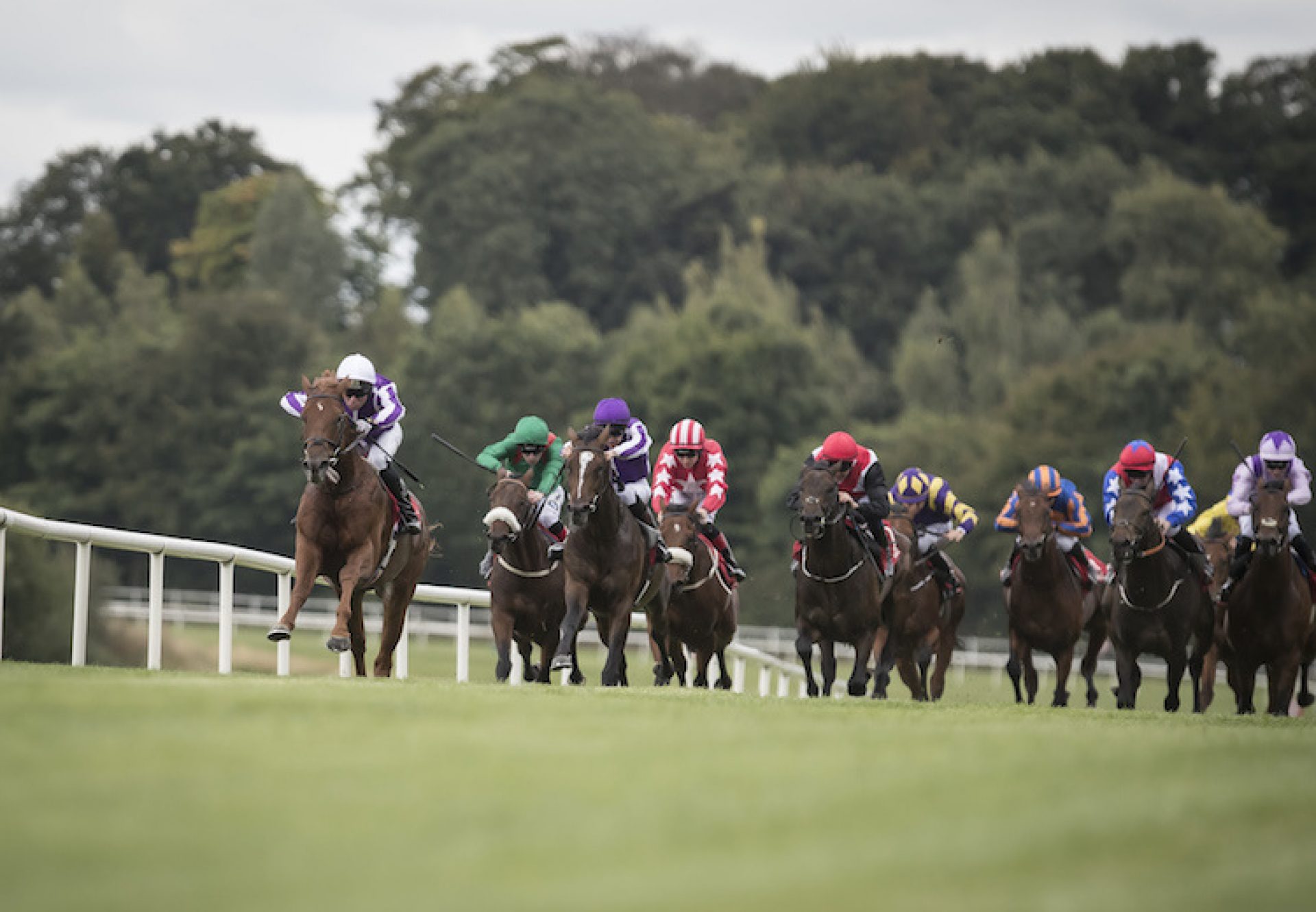 Western Australia (Australia) winning a maiden at Gowran Park