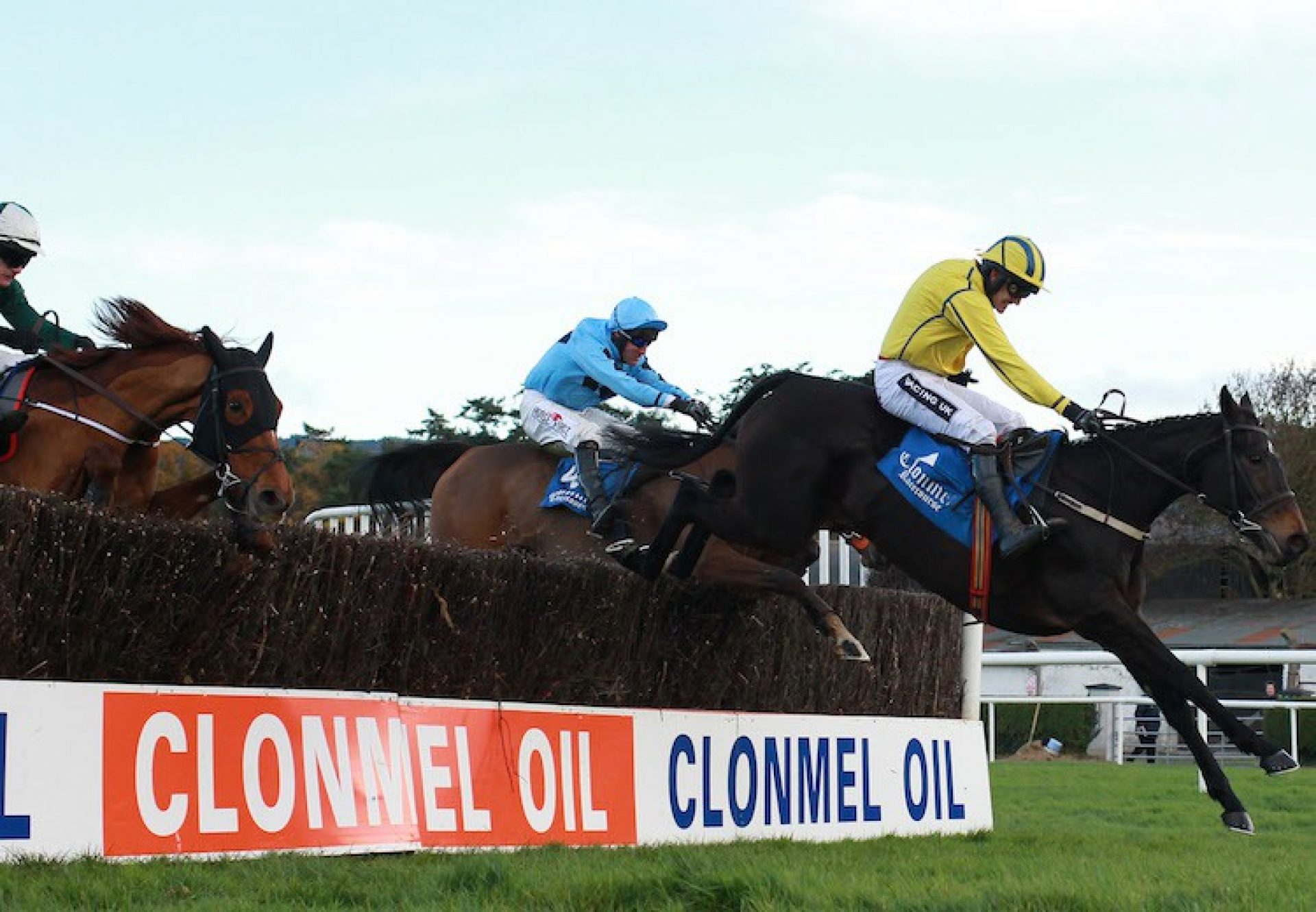 Westerner Lady (Westerner) winning a G3 Mares Chase at Clonmel