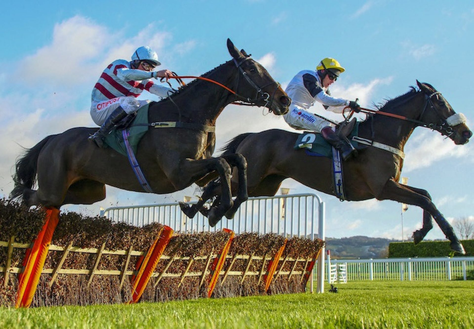 Western Ryder (Westerner) winning a novices' hurdle at Cheltenham