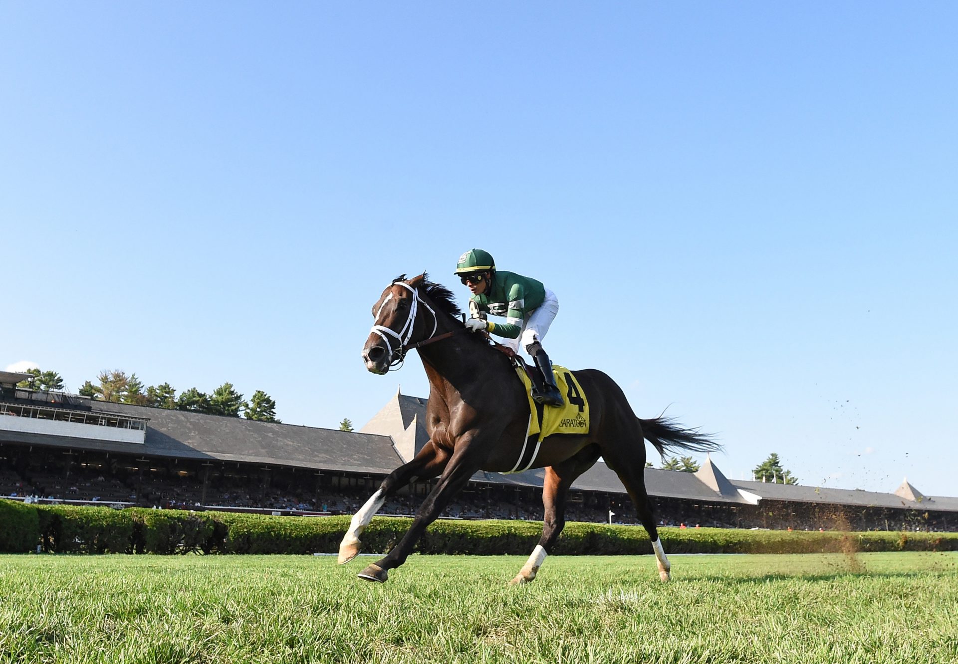 Wit (Practical Joke) Wins The Better Talk Now Stakes at Saratoga