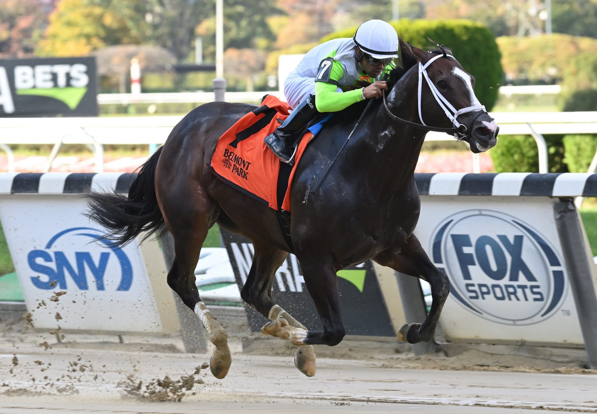 Wondrwherecraigis (Munnings) Gr.3 Bold Ruler at Belmont Park